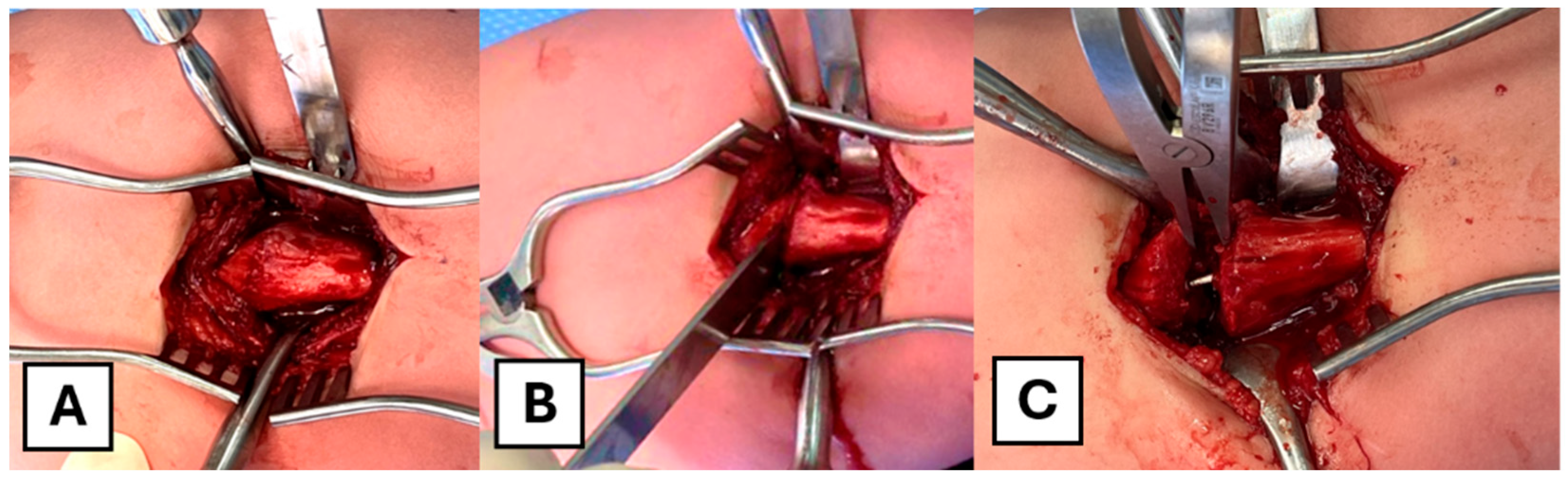 Children 12 01269 g002