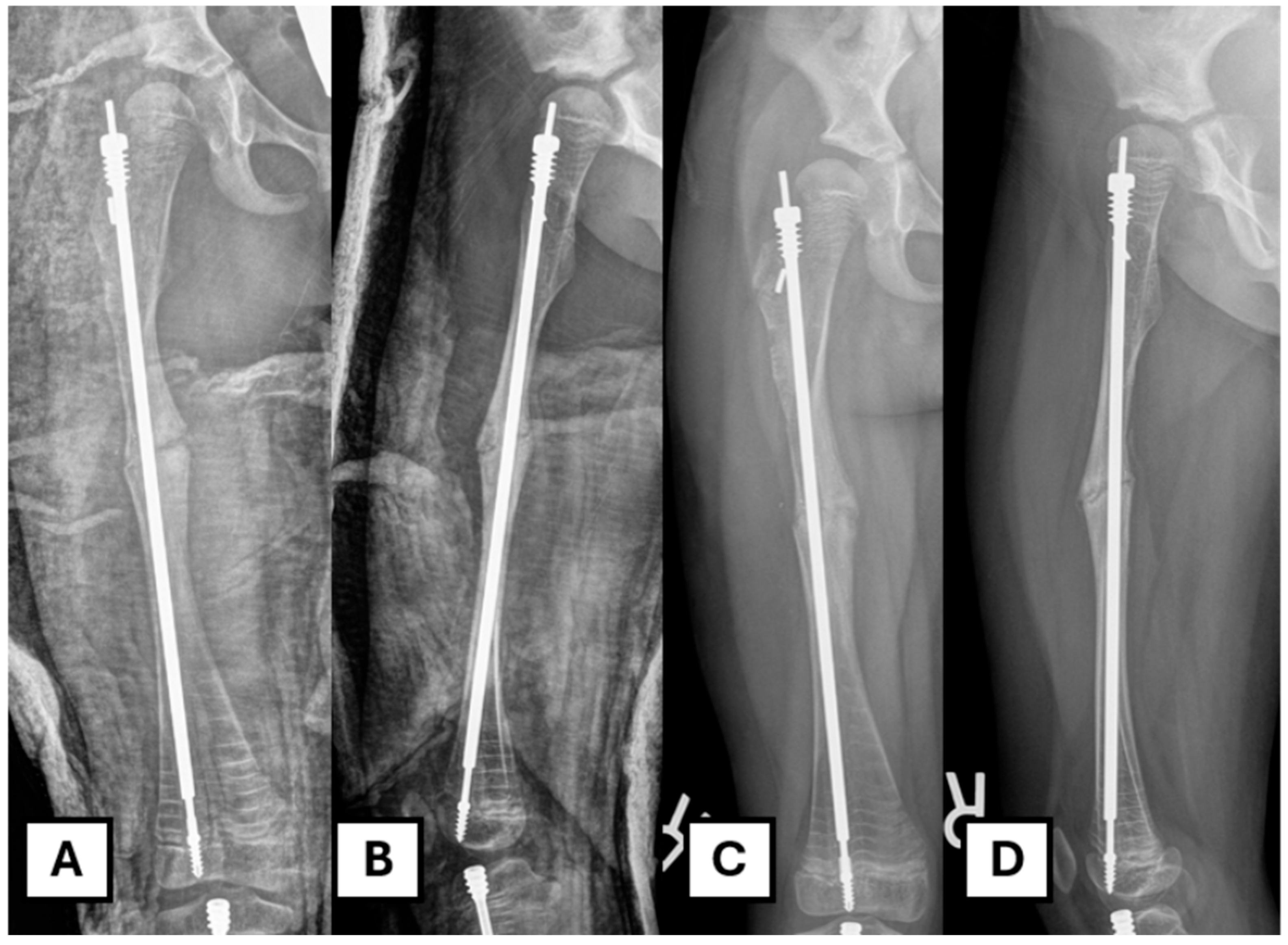 Children 12 01269 g006