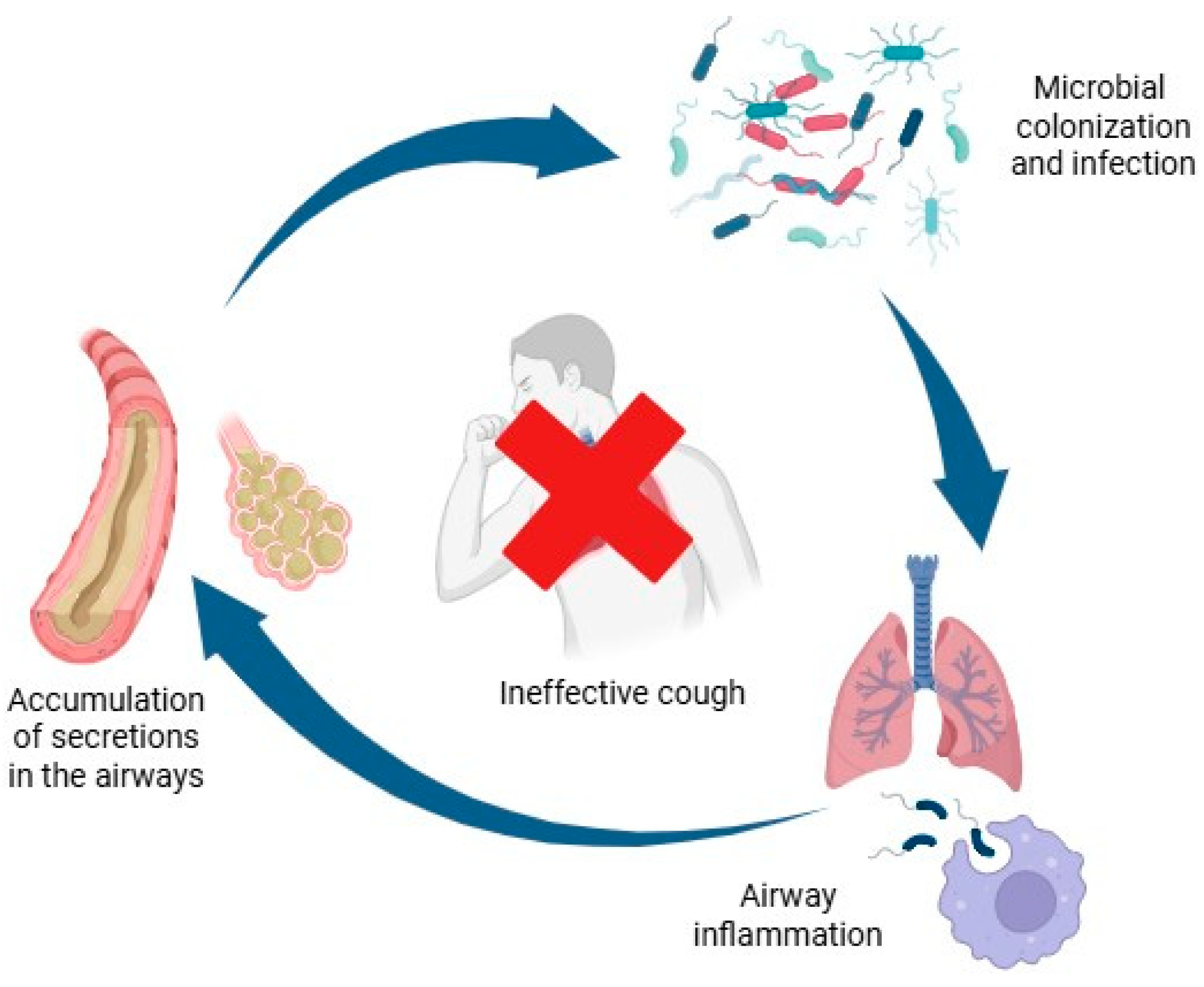 Children 12 01377 g001 Children 12 01377 g001