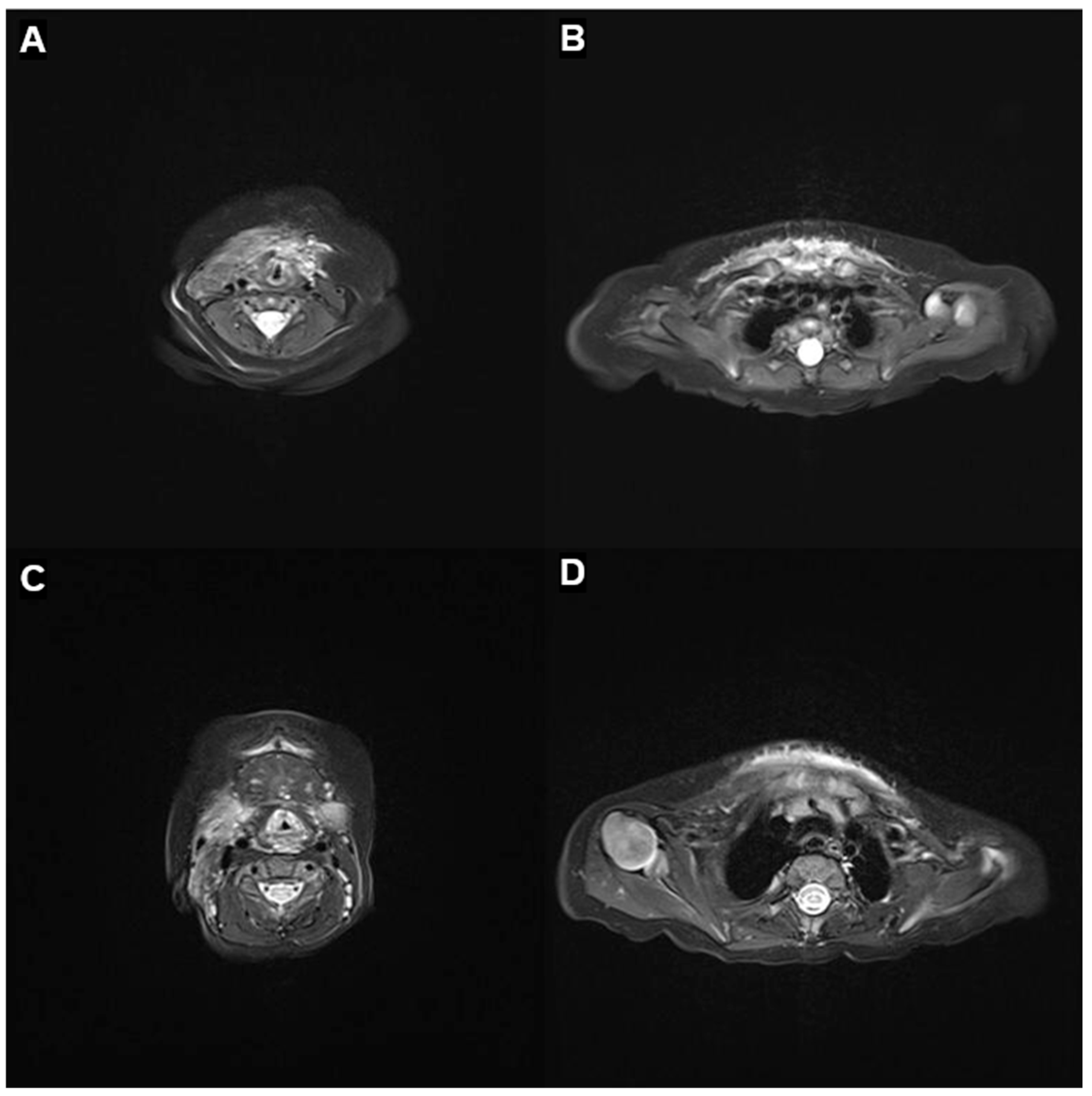 Children 12 01429 g003