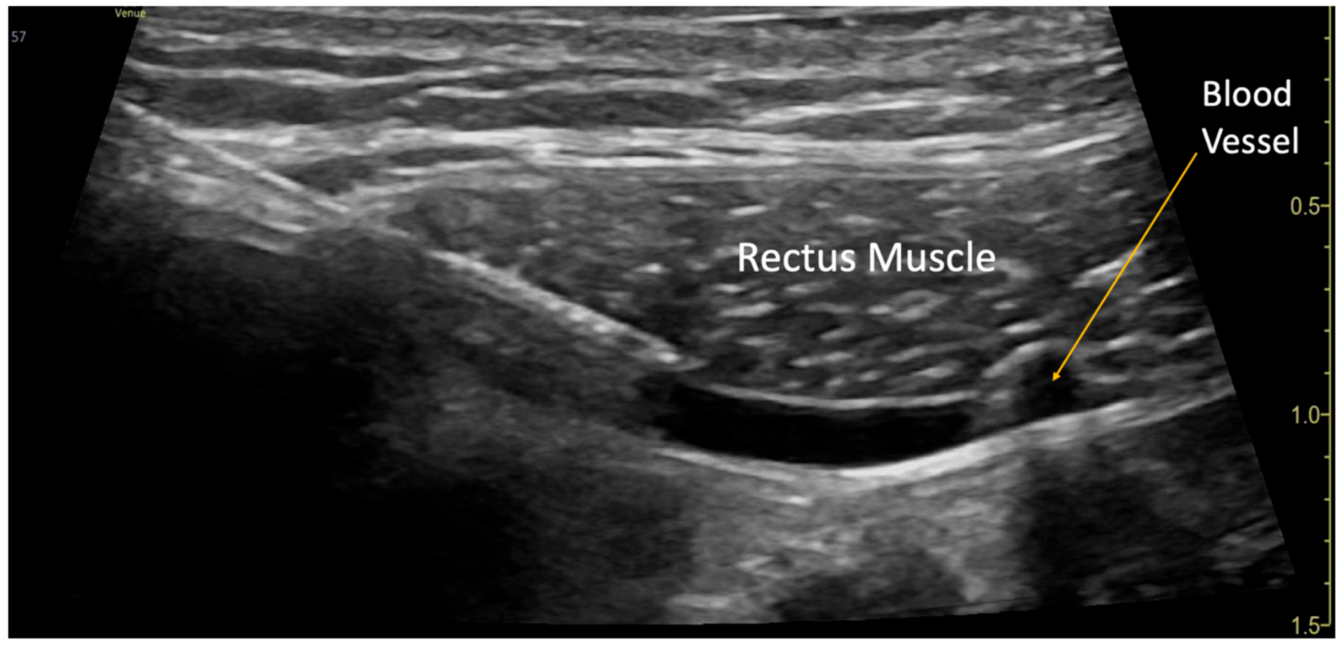 Children 12 01450 g001