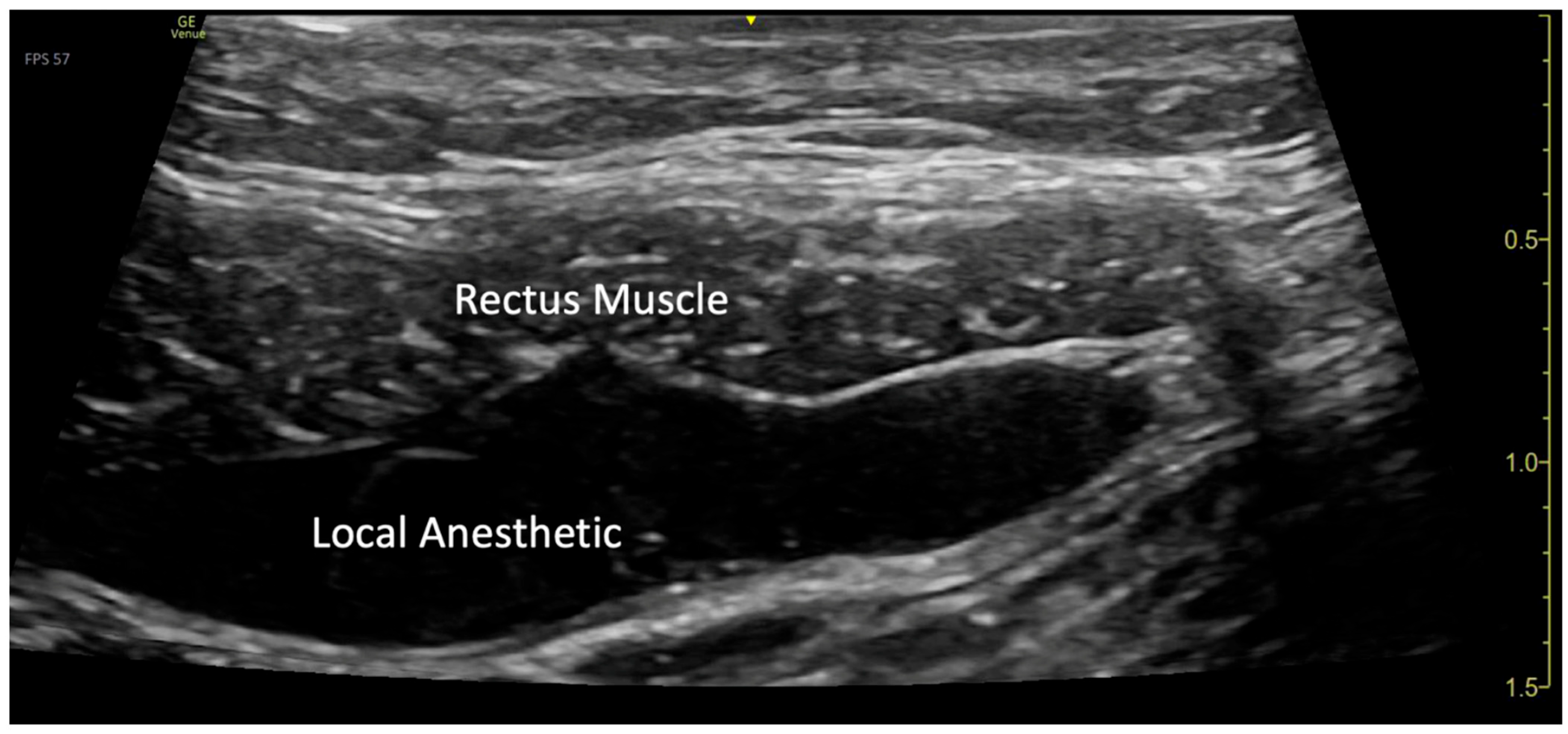 Children 12 01450 g003