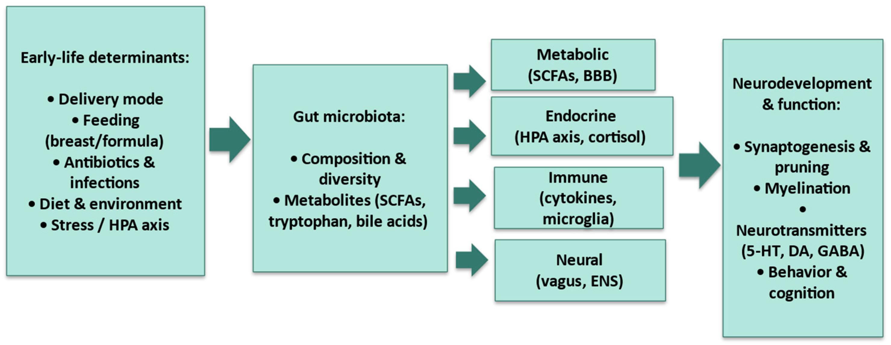 Children 12 01561 g001