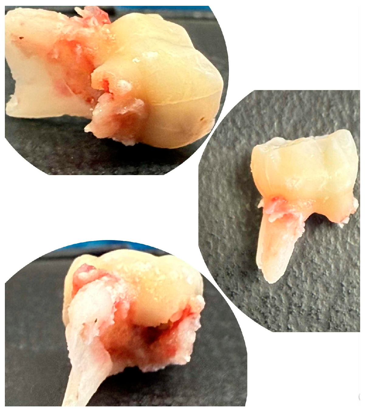 Children 13 00016 g004