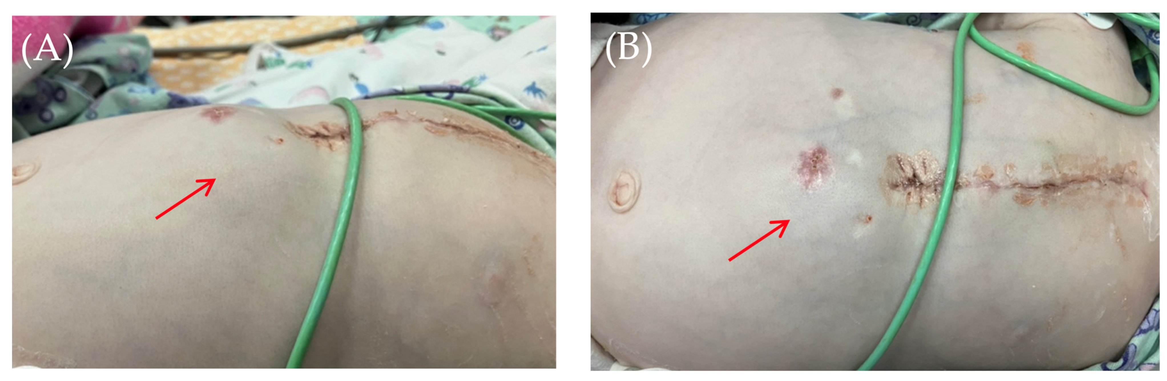 Children 13 00018 g001 Children 13 00018 g001