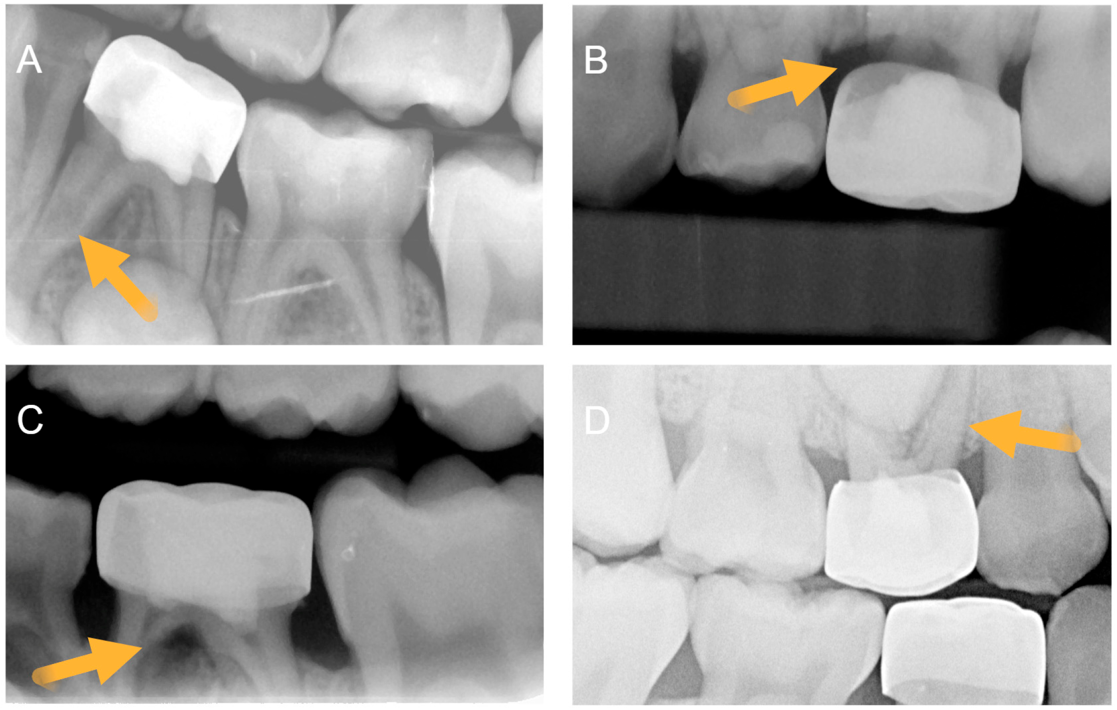 Children 13 00028 g001 Children 13 00028 g001
