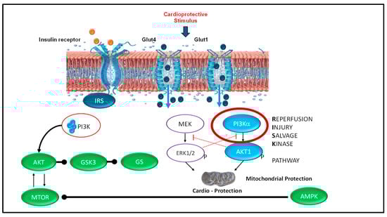 Children 13 00050 g009