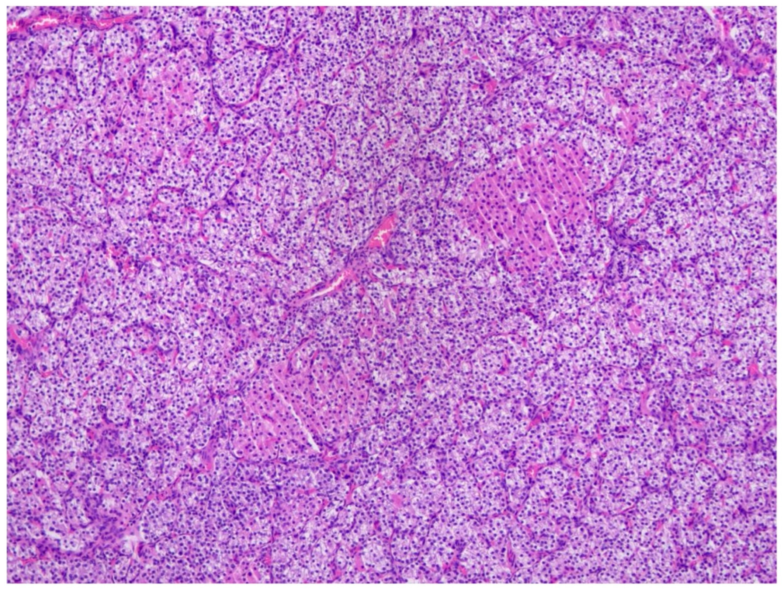 Children 13 00064 g002 Children 13 00064 g002