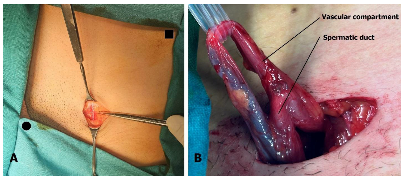 Children 13 00077 g003