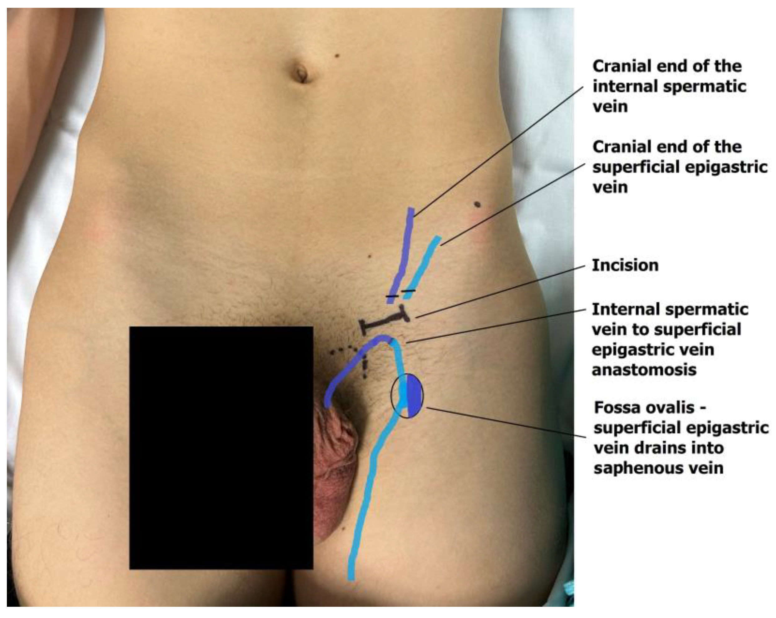 Children 13 00077 g004