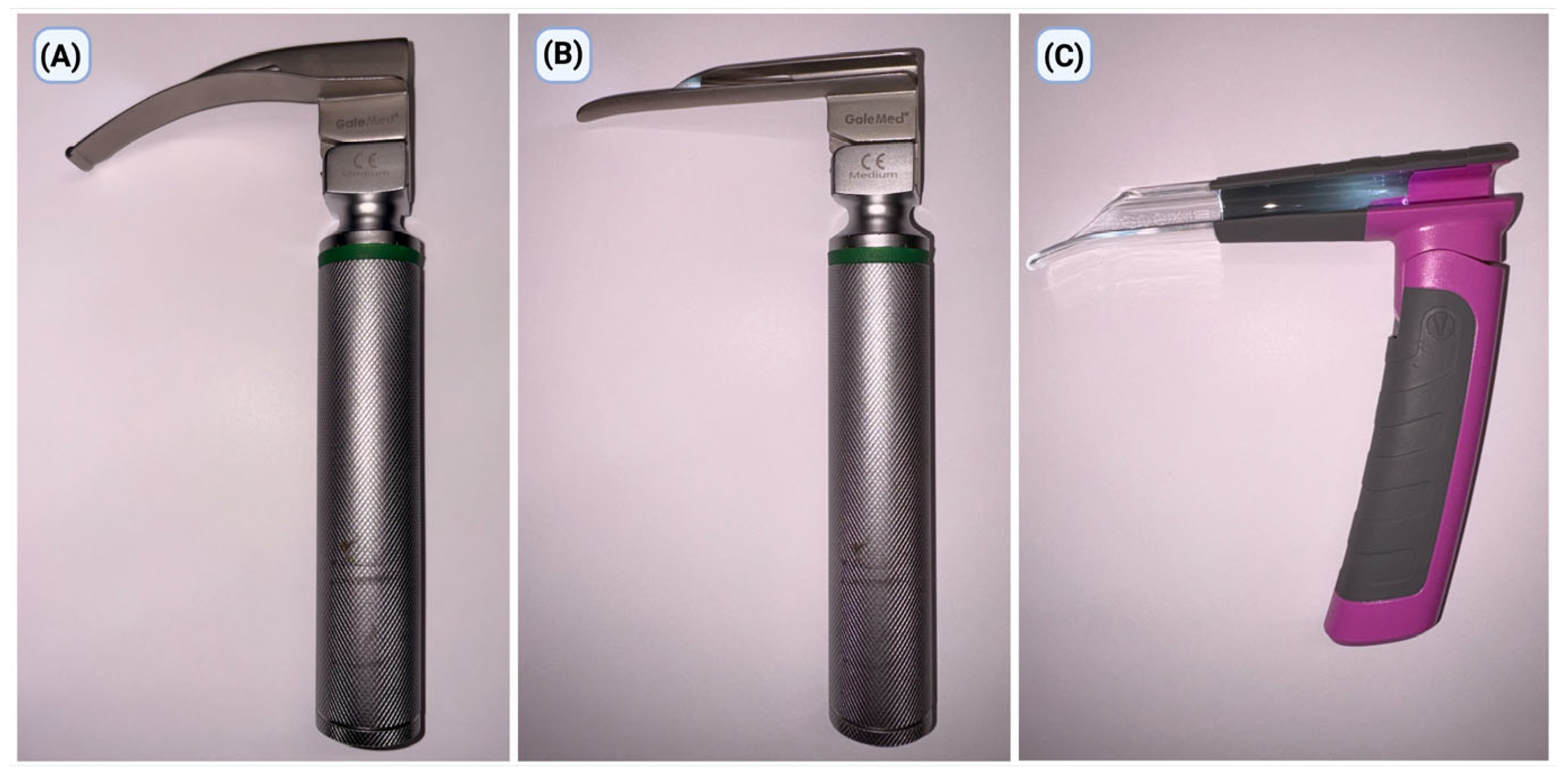 Children 13 00137 g001