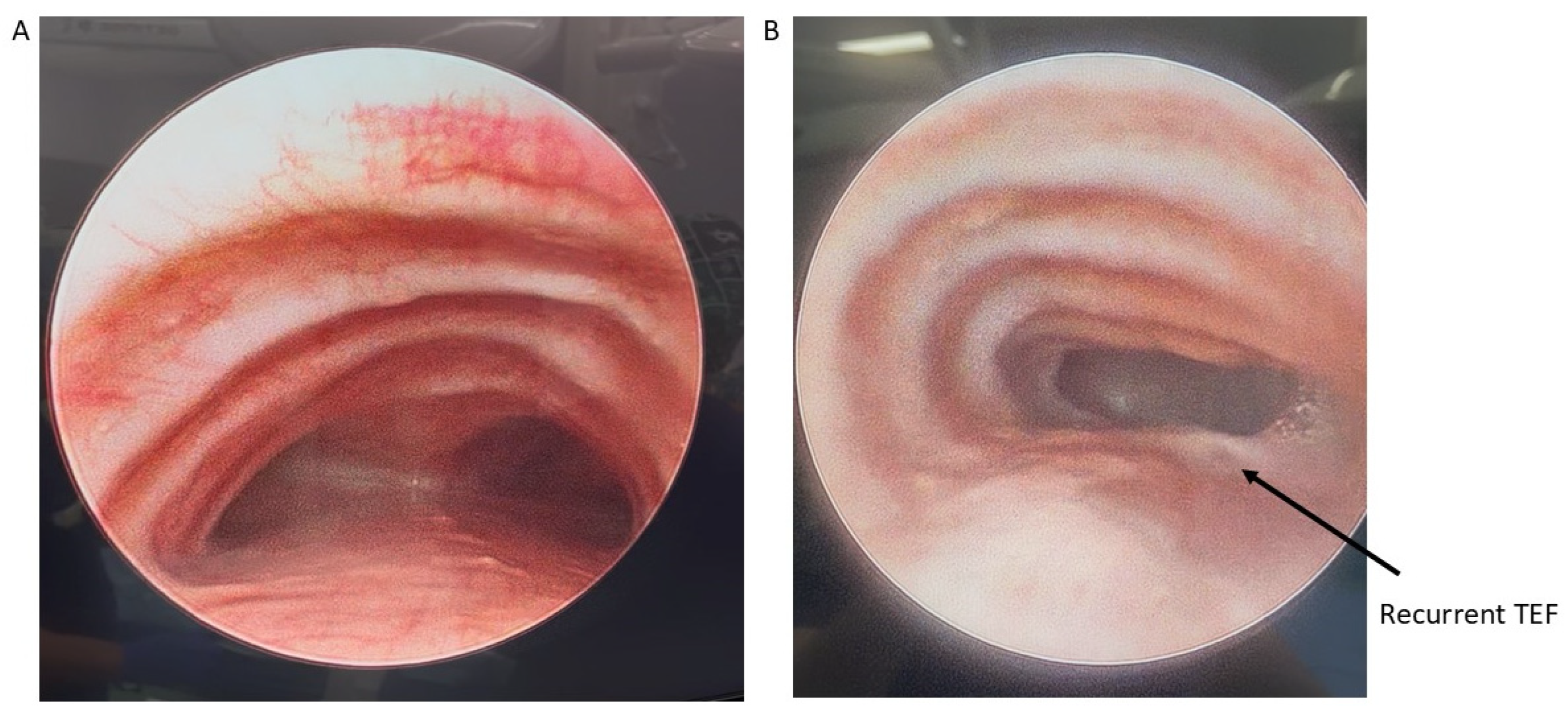 Children 13 00199 g002 Children 13 00199 g002