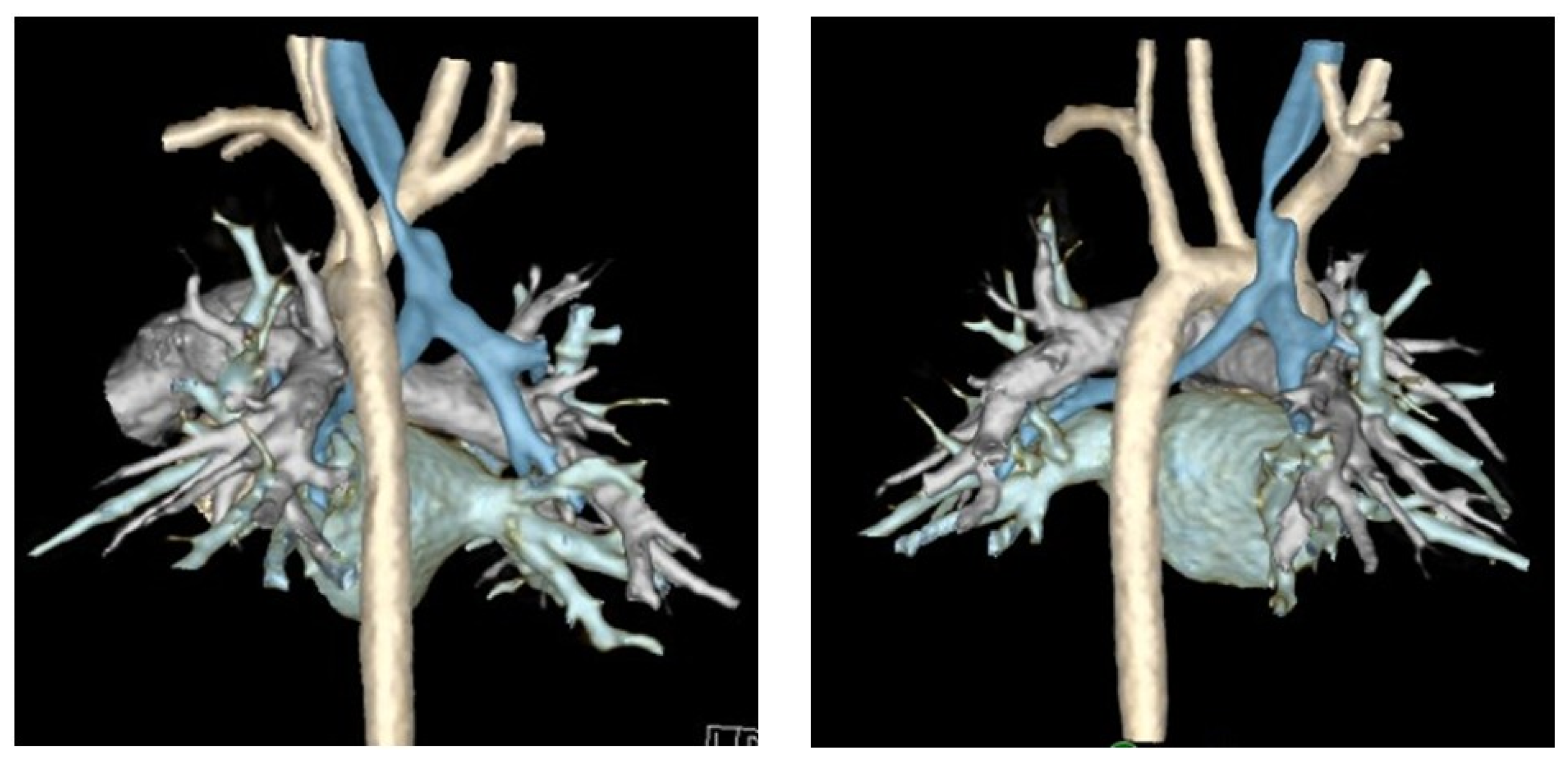 Children 13 00199 g003 Children 13 00199 g003