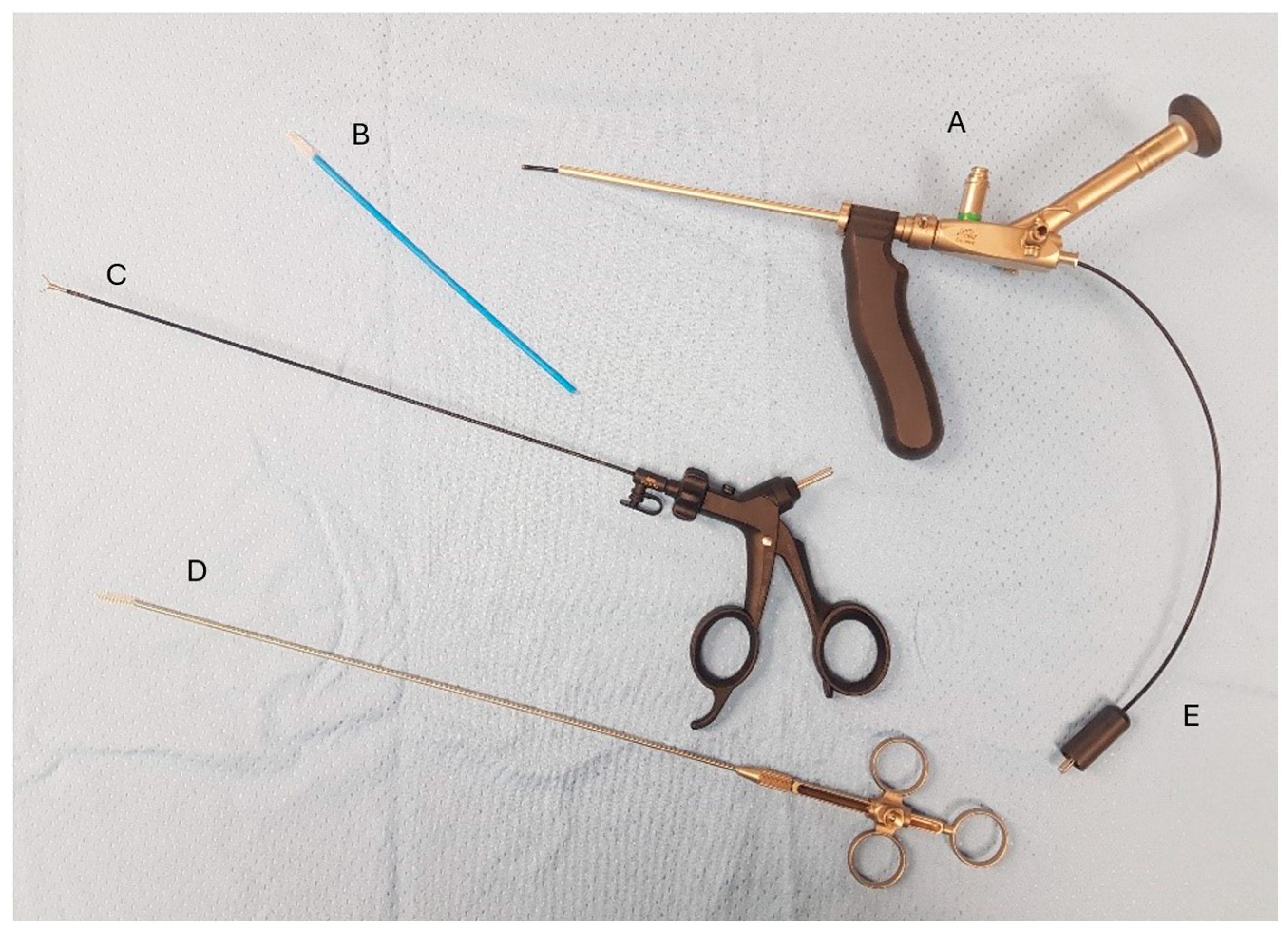 Children 13 00433 g002