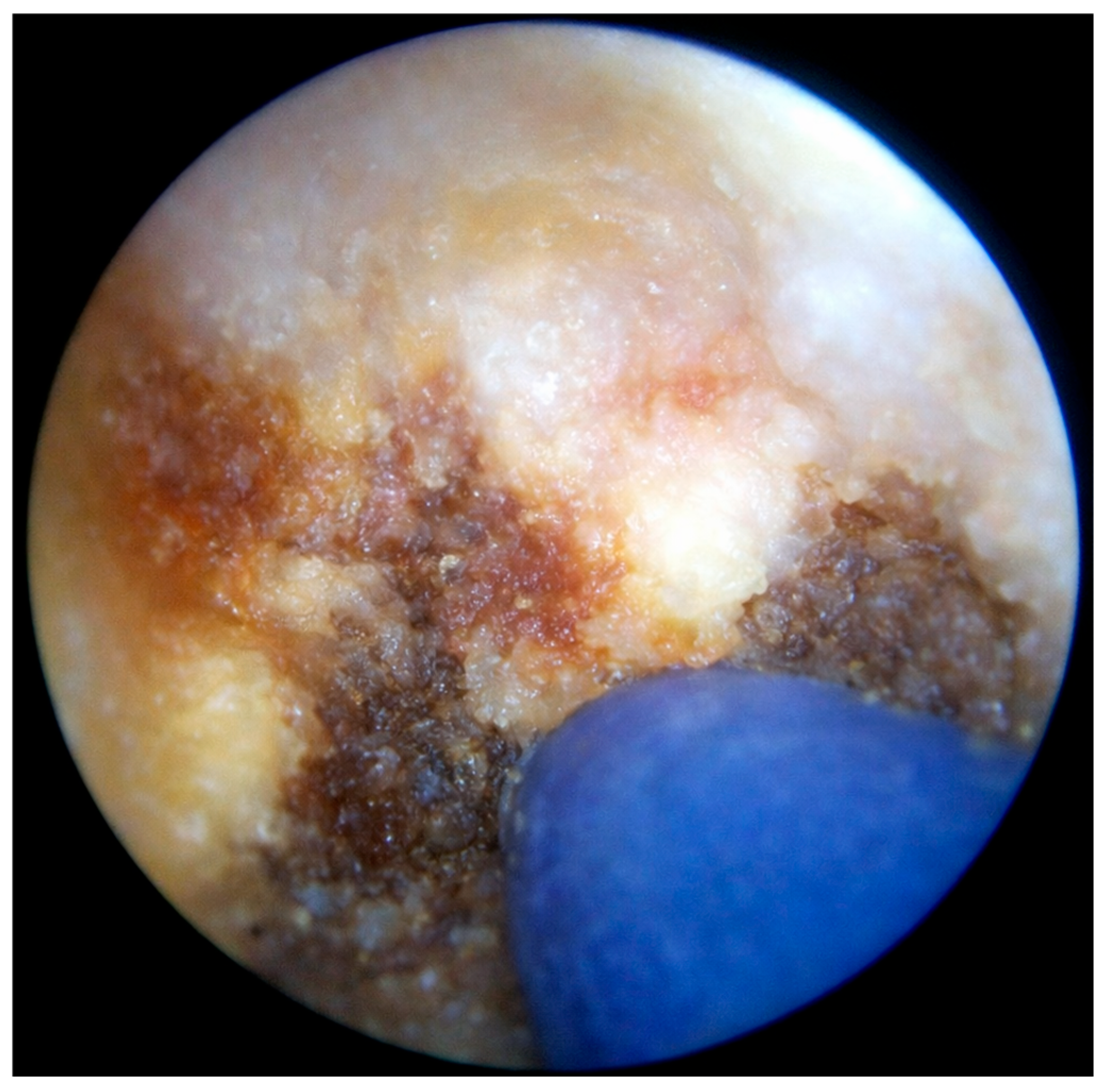 Children 13 00433 g004