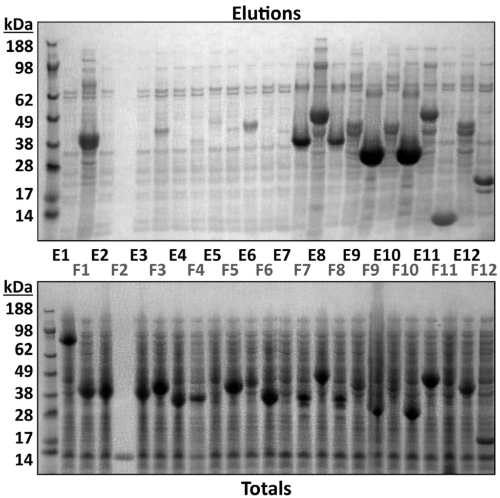 Chromatography 01 00159 g002 1024