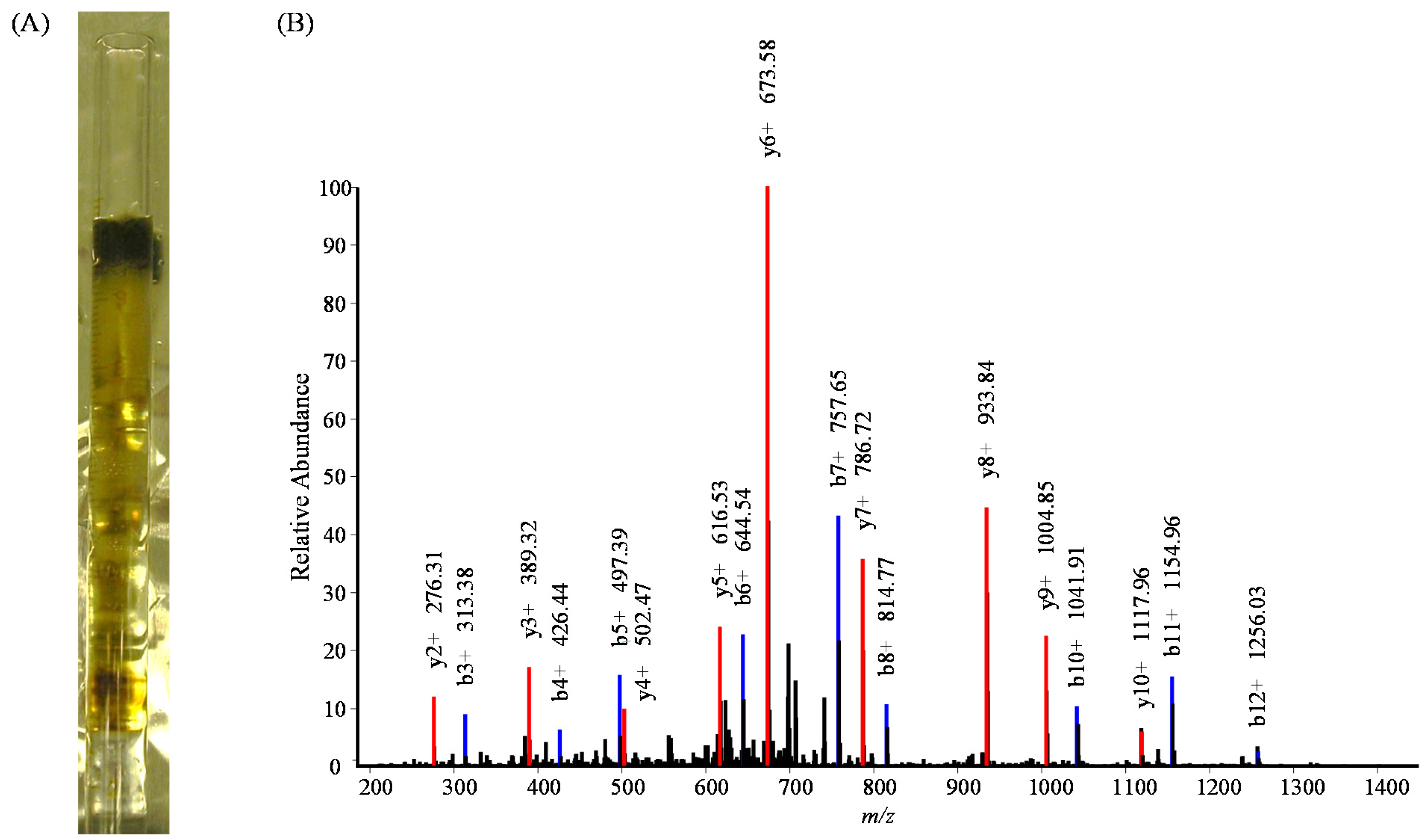 Chromatography 01 00176 g004