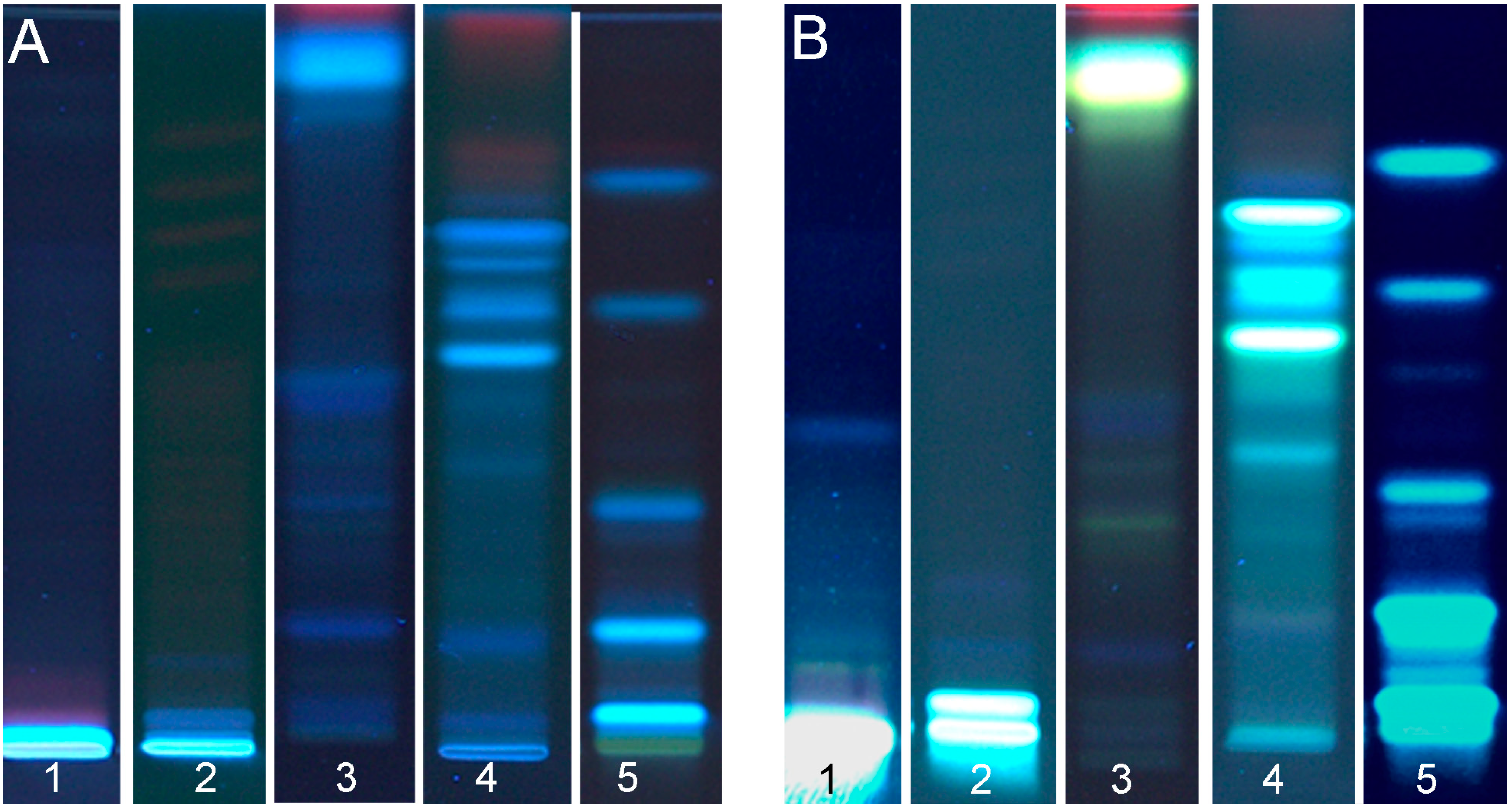 Chromatography 02 00125 g001