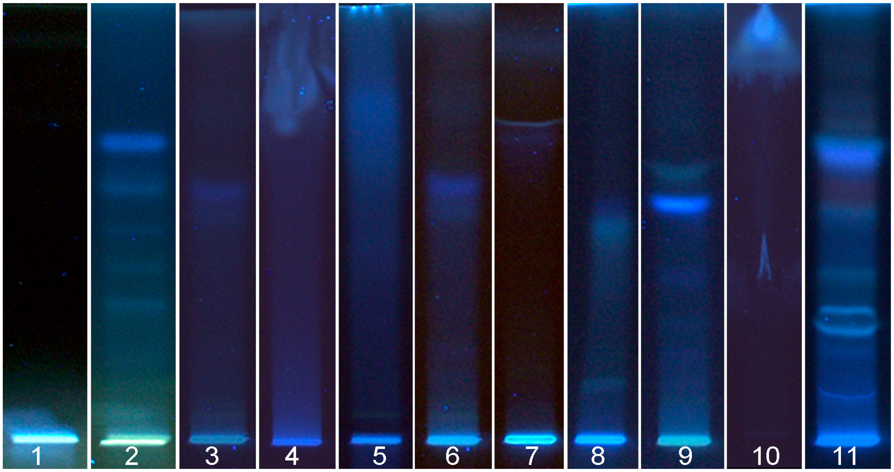Chromatography 02 00125 g002