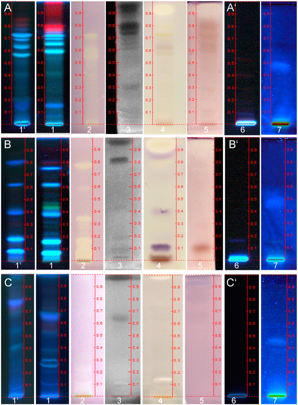 Chromatography 02 00125 g003 1024