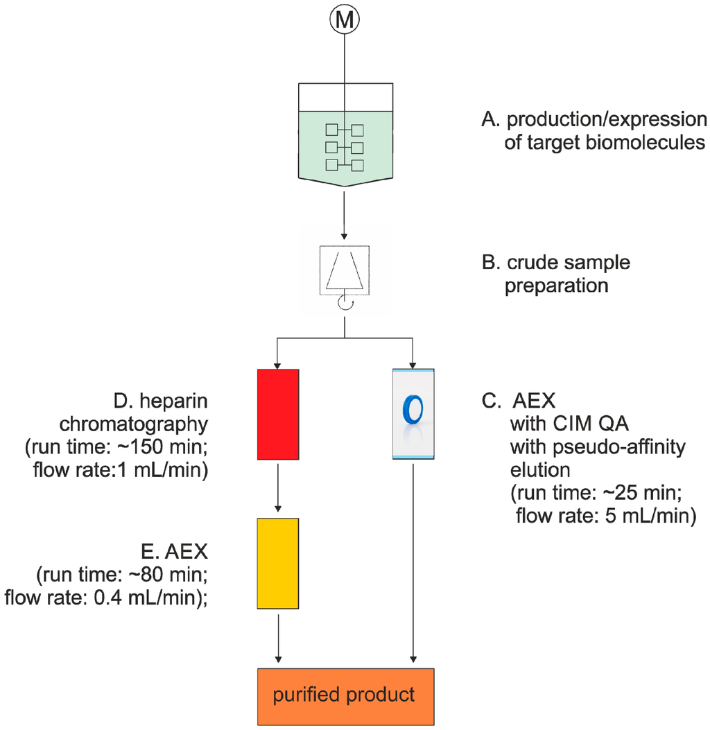 Chromatography 02 00195 g004 1024