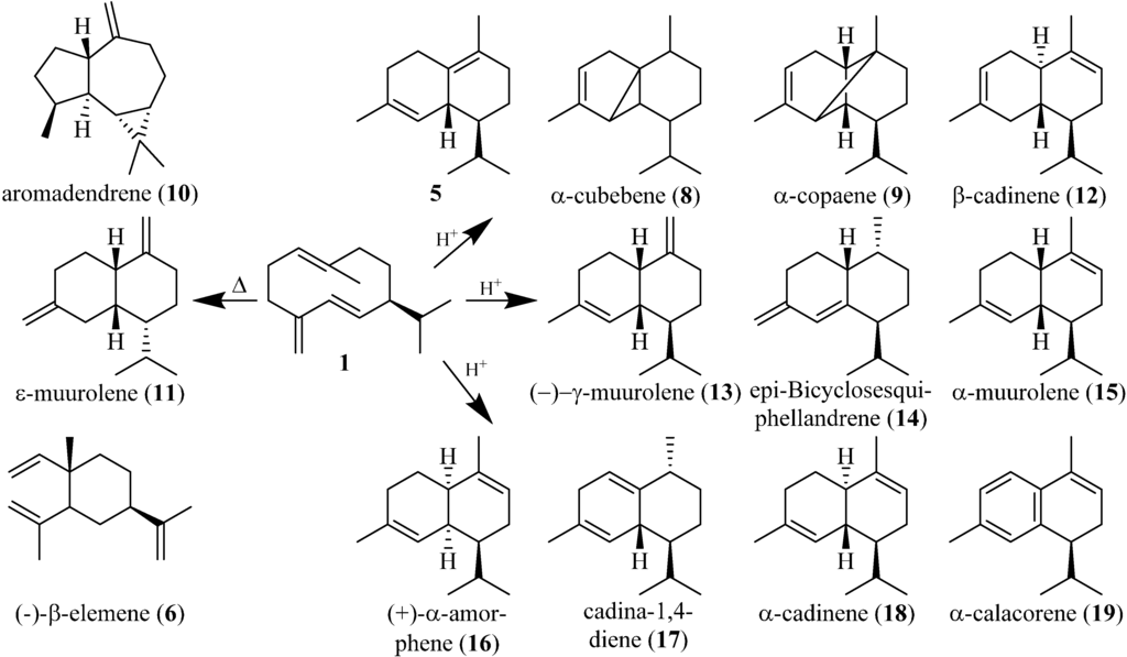 Chromatography 02 00277 g004 1024