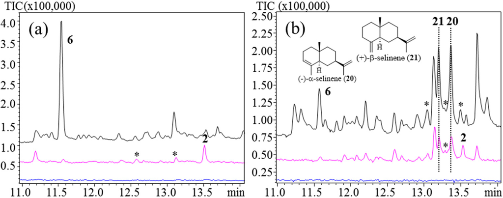 Chromatography 02 00277 g005 1024