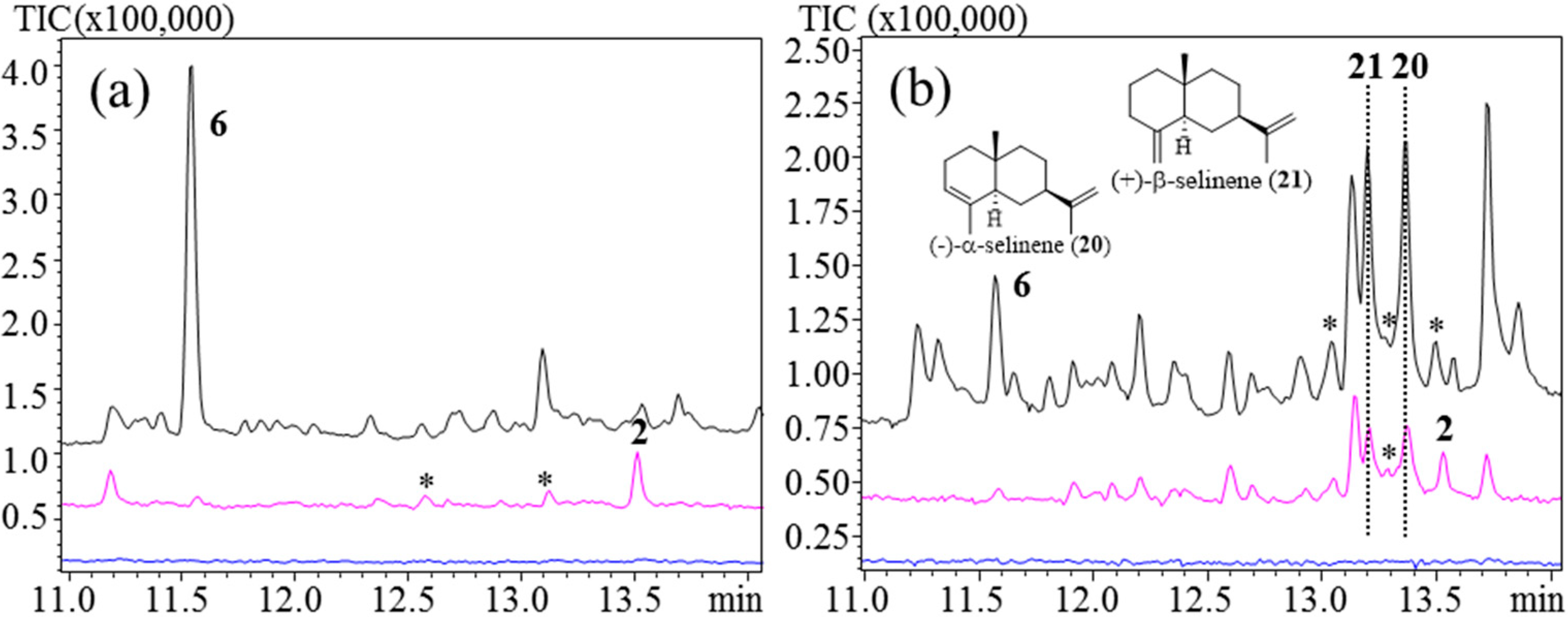 Chromatography 02 00277 g005