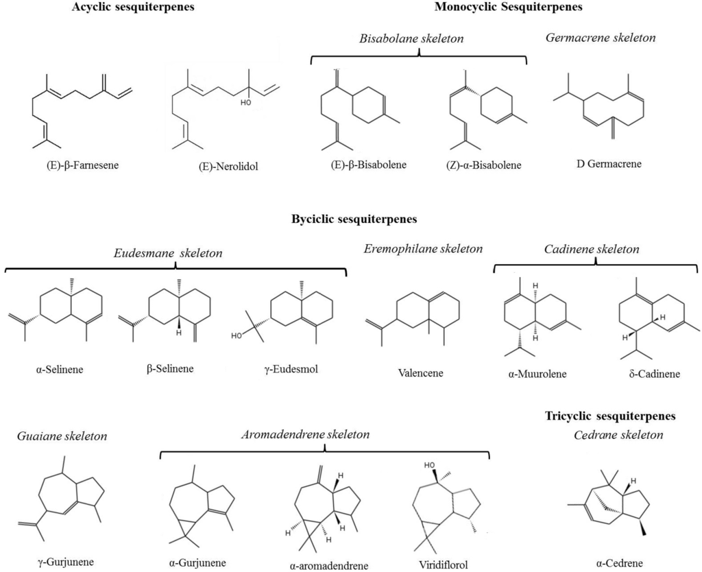 Chromatography 02 00410 g001 1024