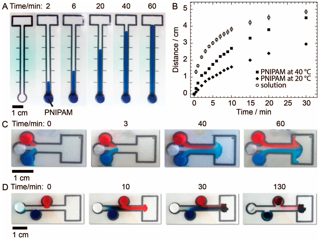 Chromatography 02 00436 g002 1024