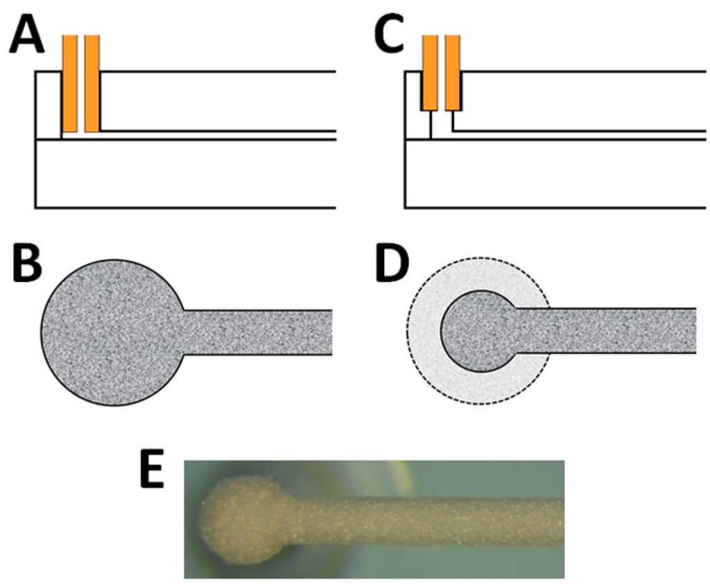 Chromatography 02 00502 g002 1024