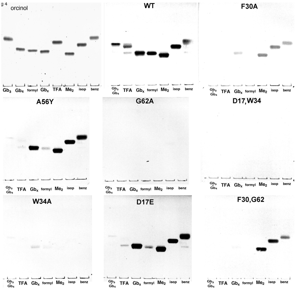 Chromatography 02 00529 g004 1024