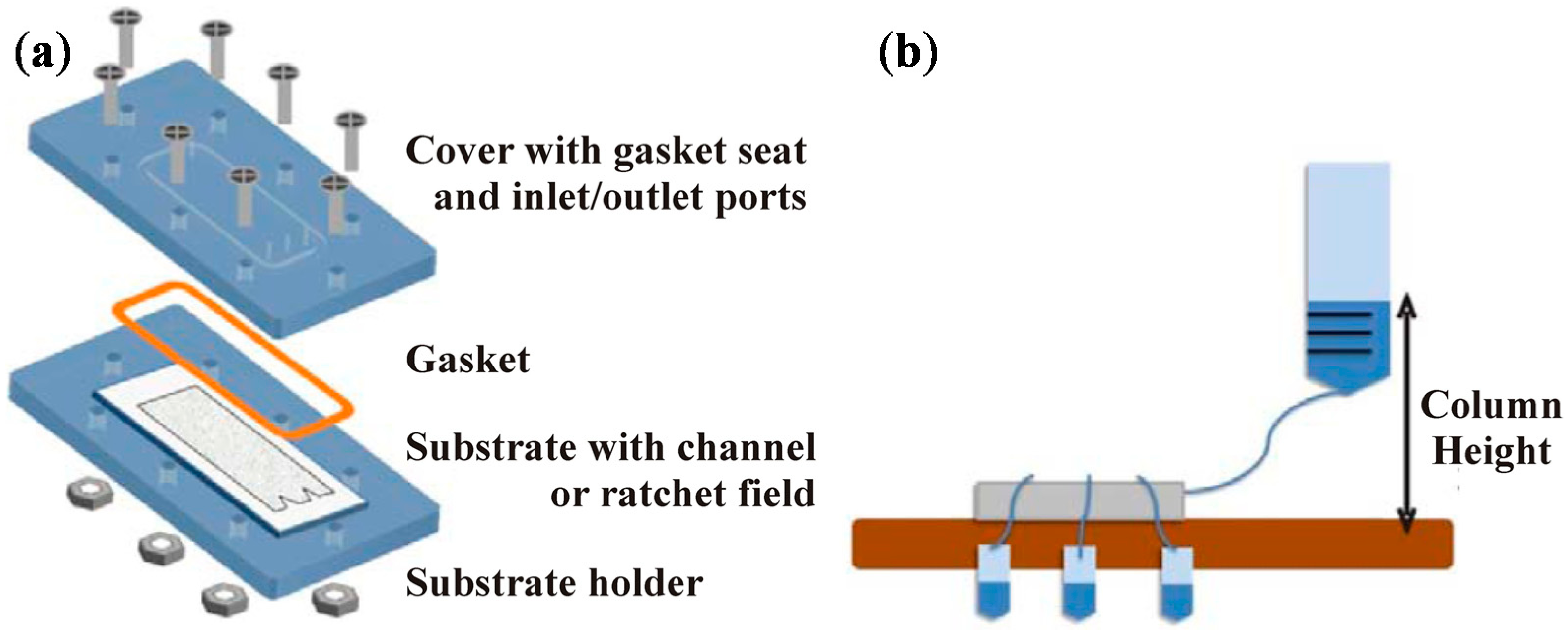 Chromatography 02 00567 g001