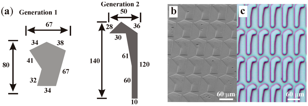 Chromatography 02 00567 g002 1024