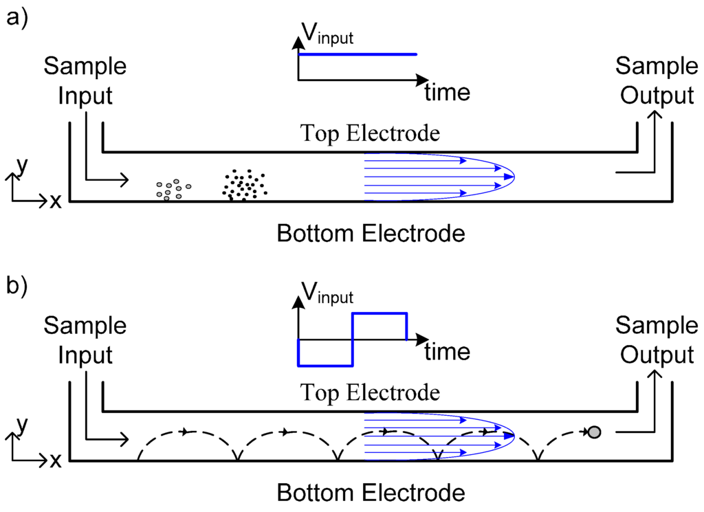 Chromatography 02 00594 g001 1024
