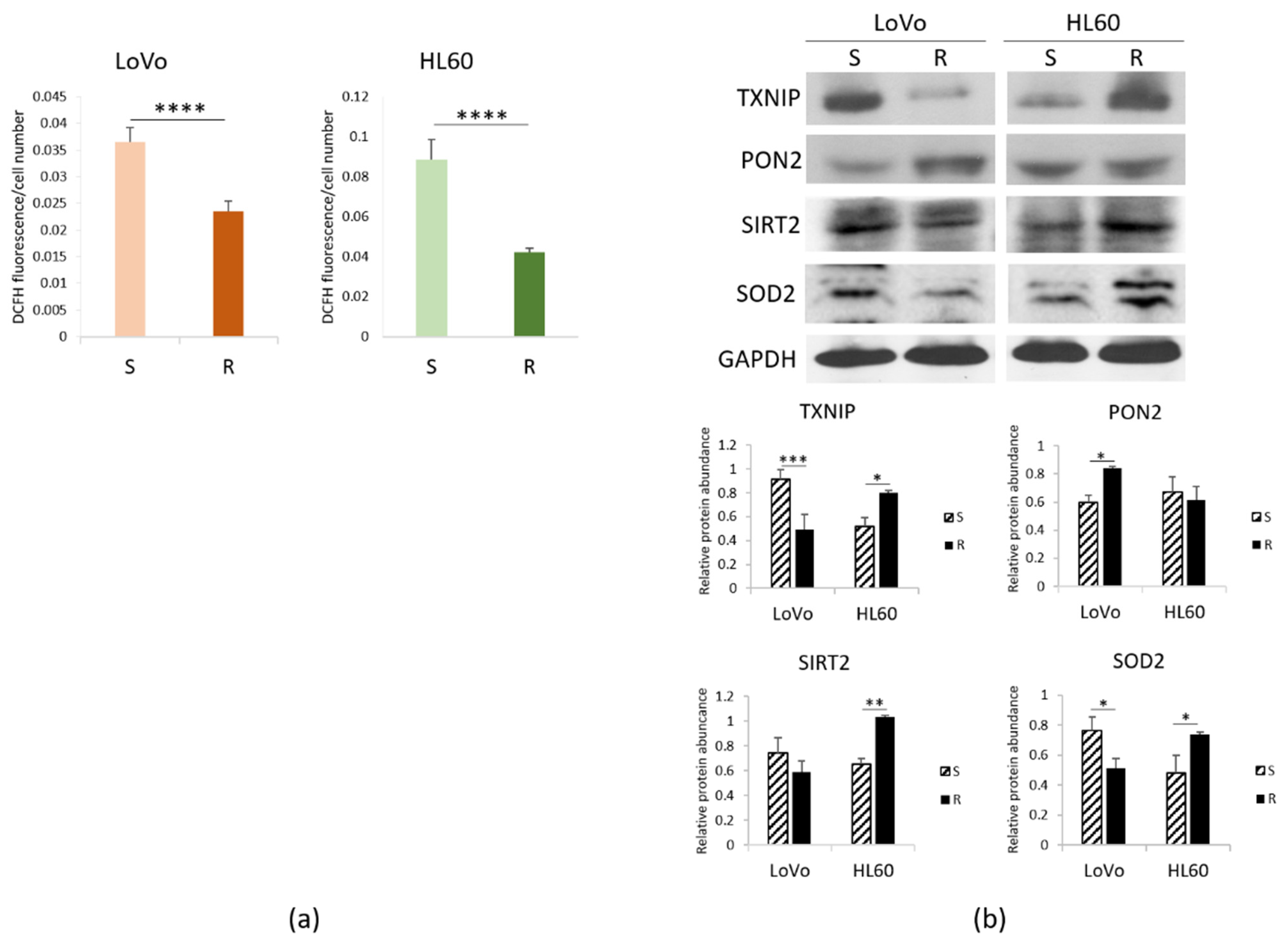 Cimb 43 00014 g002 Cimb 43 00014 g002