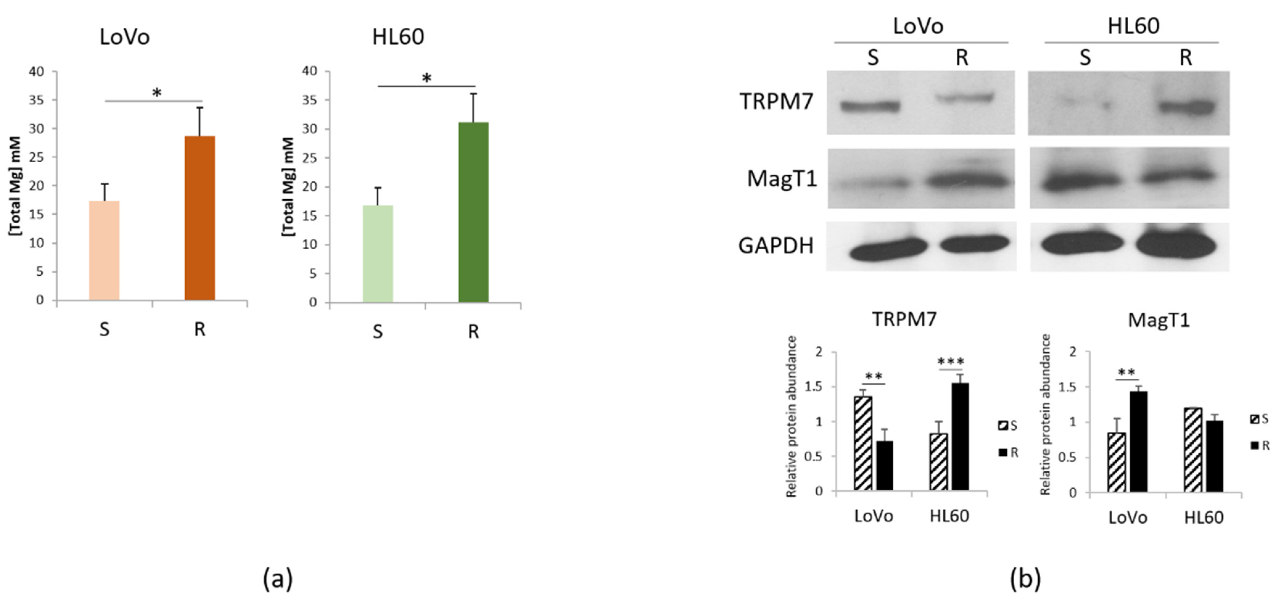 Cimb 43 00014 g003 Cimb 43 00014 g003