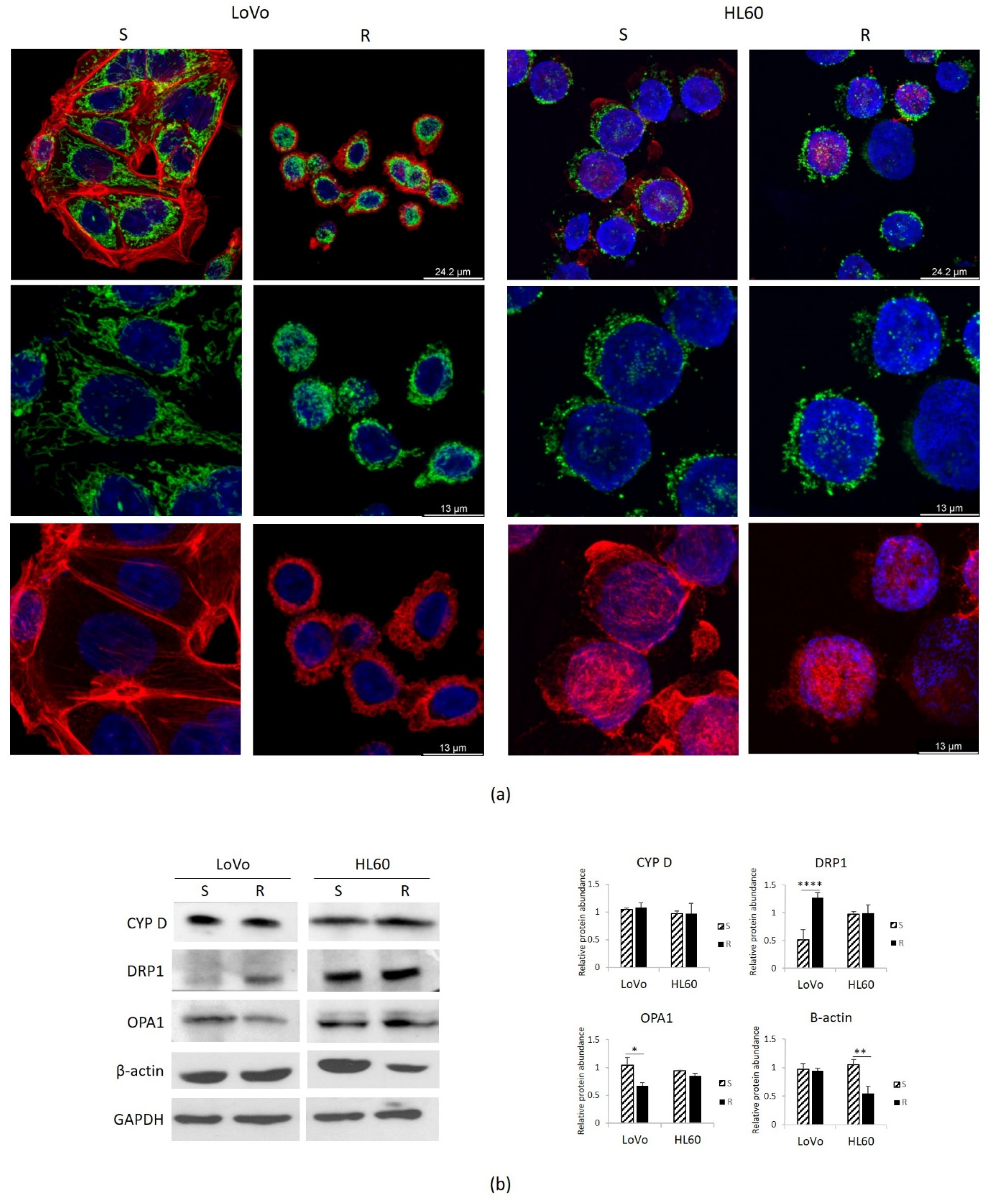 Cimb 43 00014 g005 Cimb 43 00014 g005