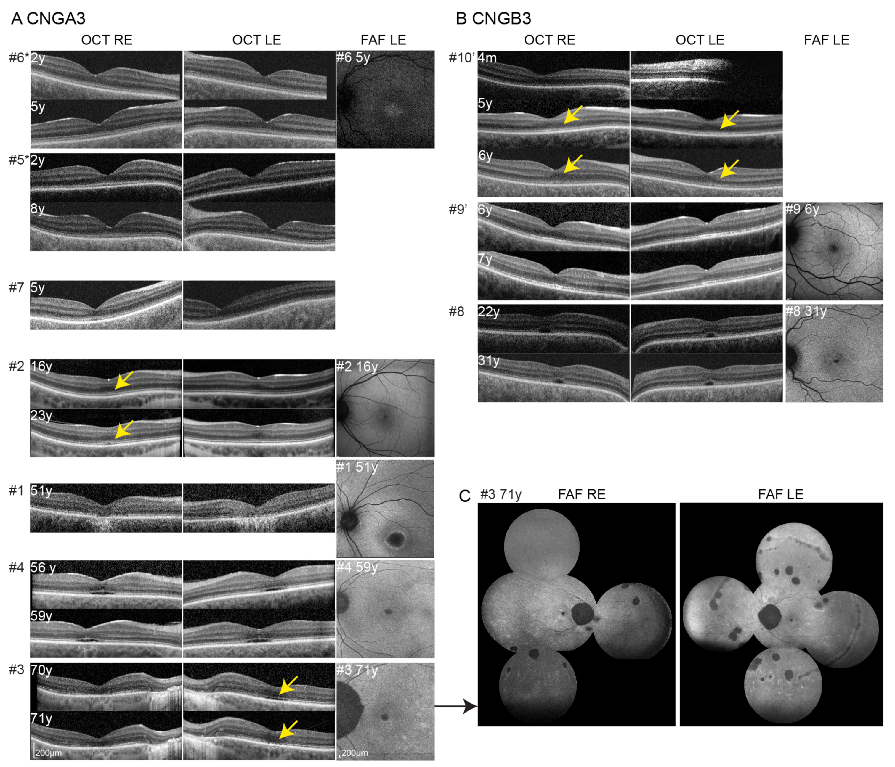 Cimb 43 00067 g002 Cimb 43 00067 g002