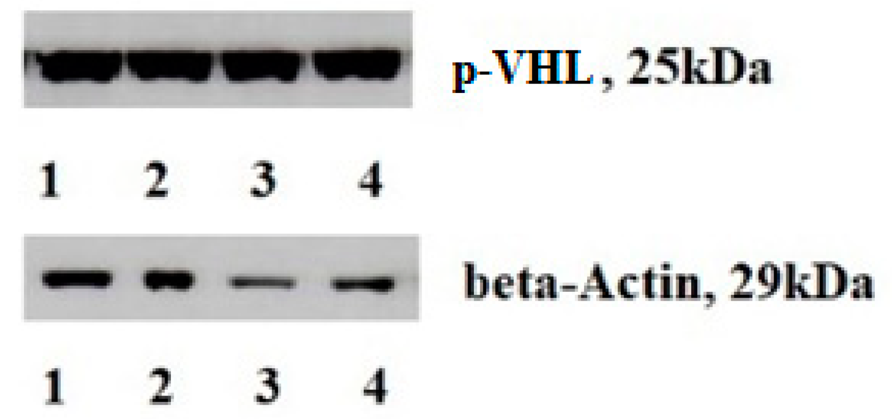 Cimb 43 00076 g002 Cimb 43 00076 g002