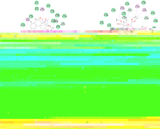 Cimb 44 00028 g0a5b 550