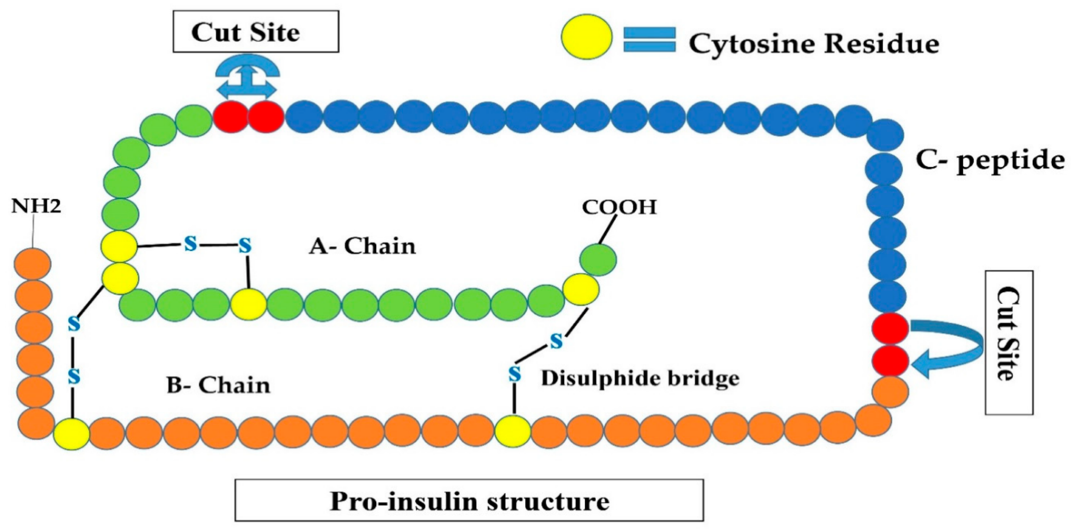 Cimb 44 00059 g002 Cimb 44 00059 g002