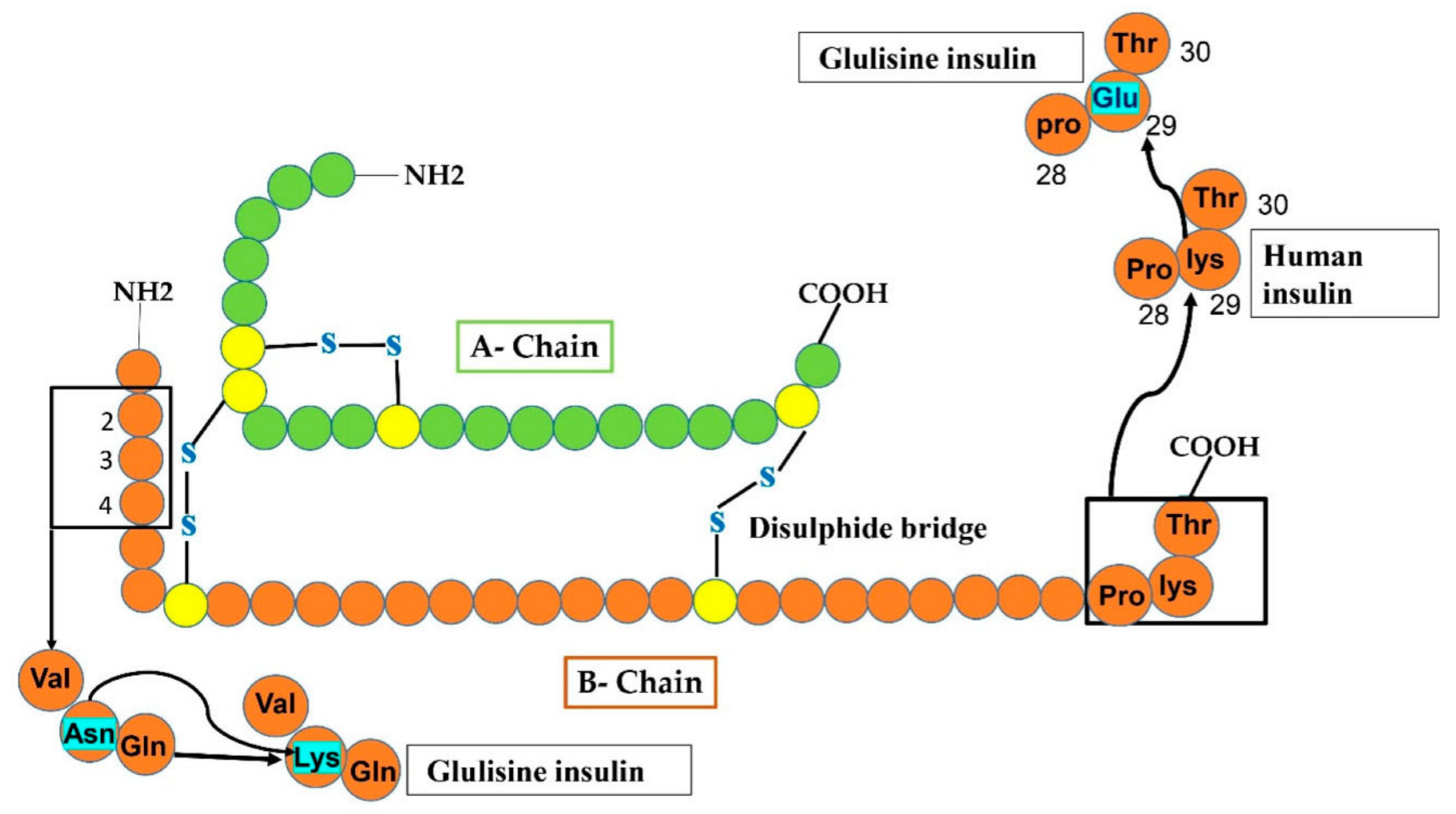 Cimb 44 00059 g004 Cimb 44 00059 g004