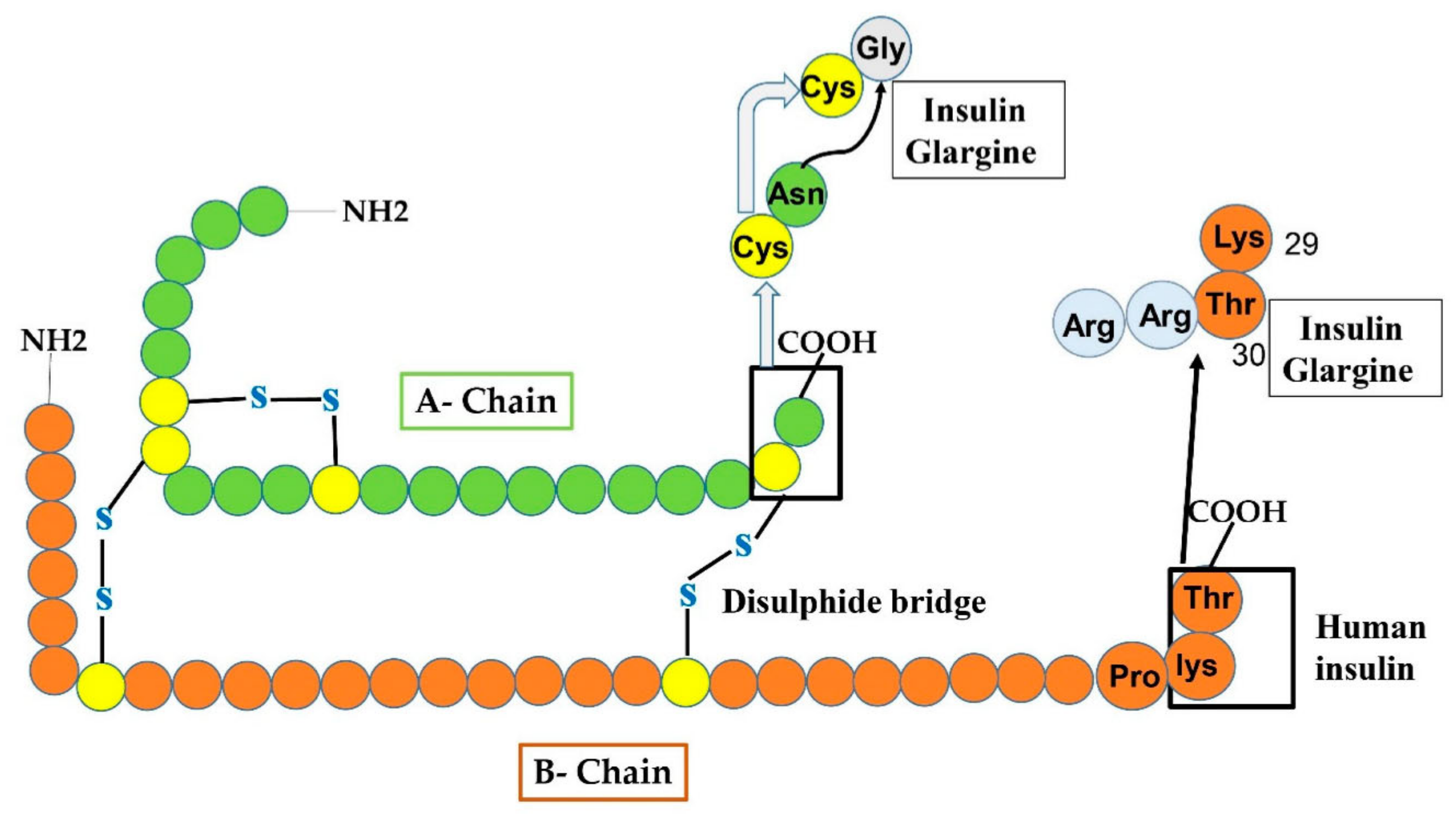 Cimb 44 00059 g005 Cimb 44 00059 g005