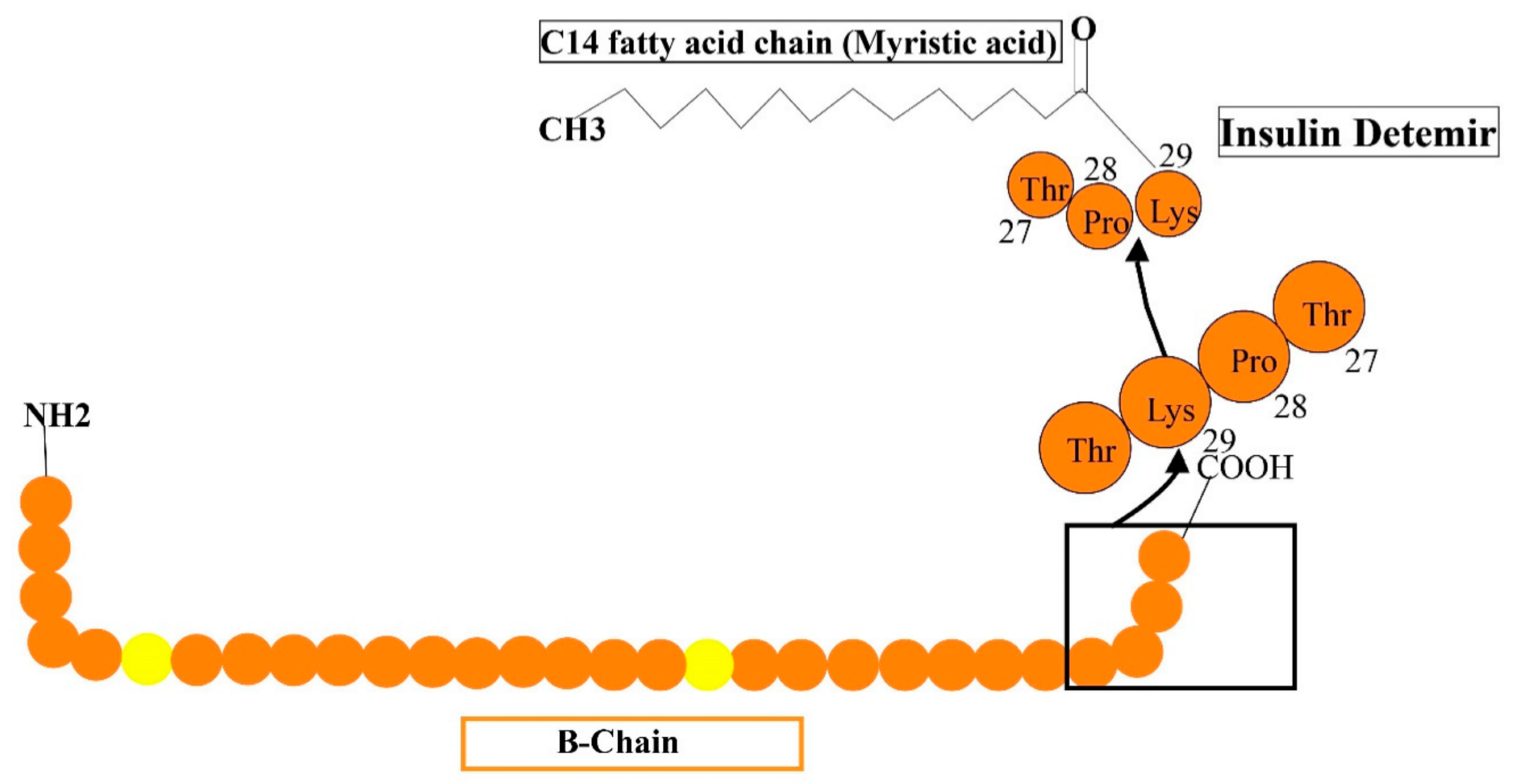 Cimb 44 00059 g006 Cimb 44 00059 g006