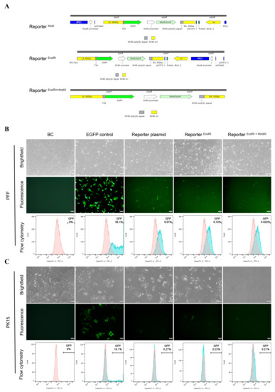Cimb 44 00116 g002 550