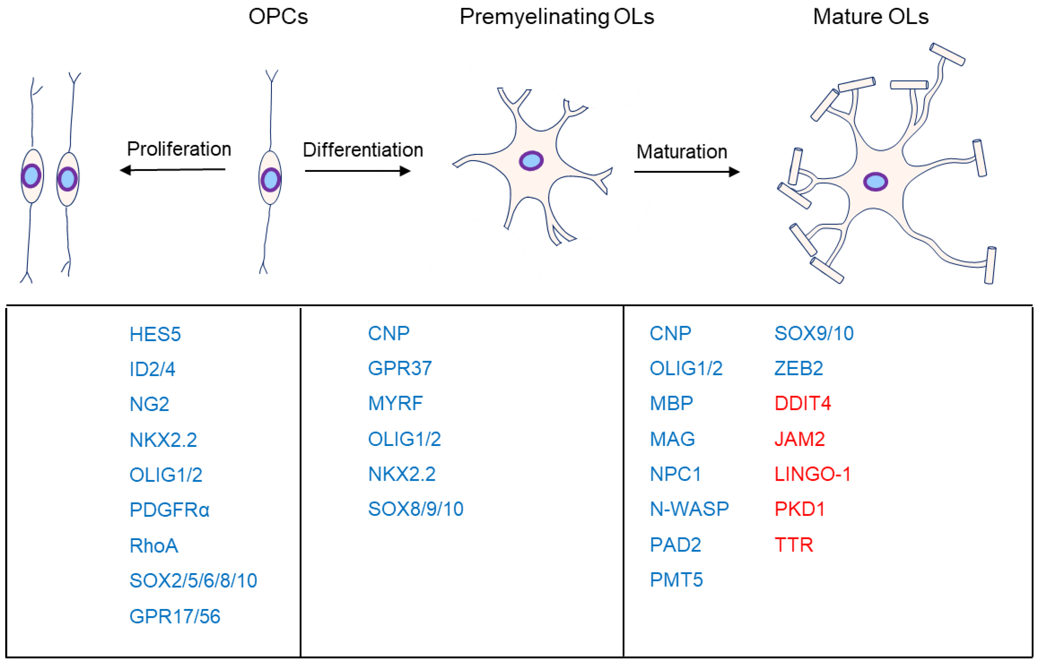 Cimb 44 00149 g001 Cimb 44 00149 g001