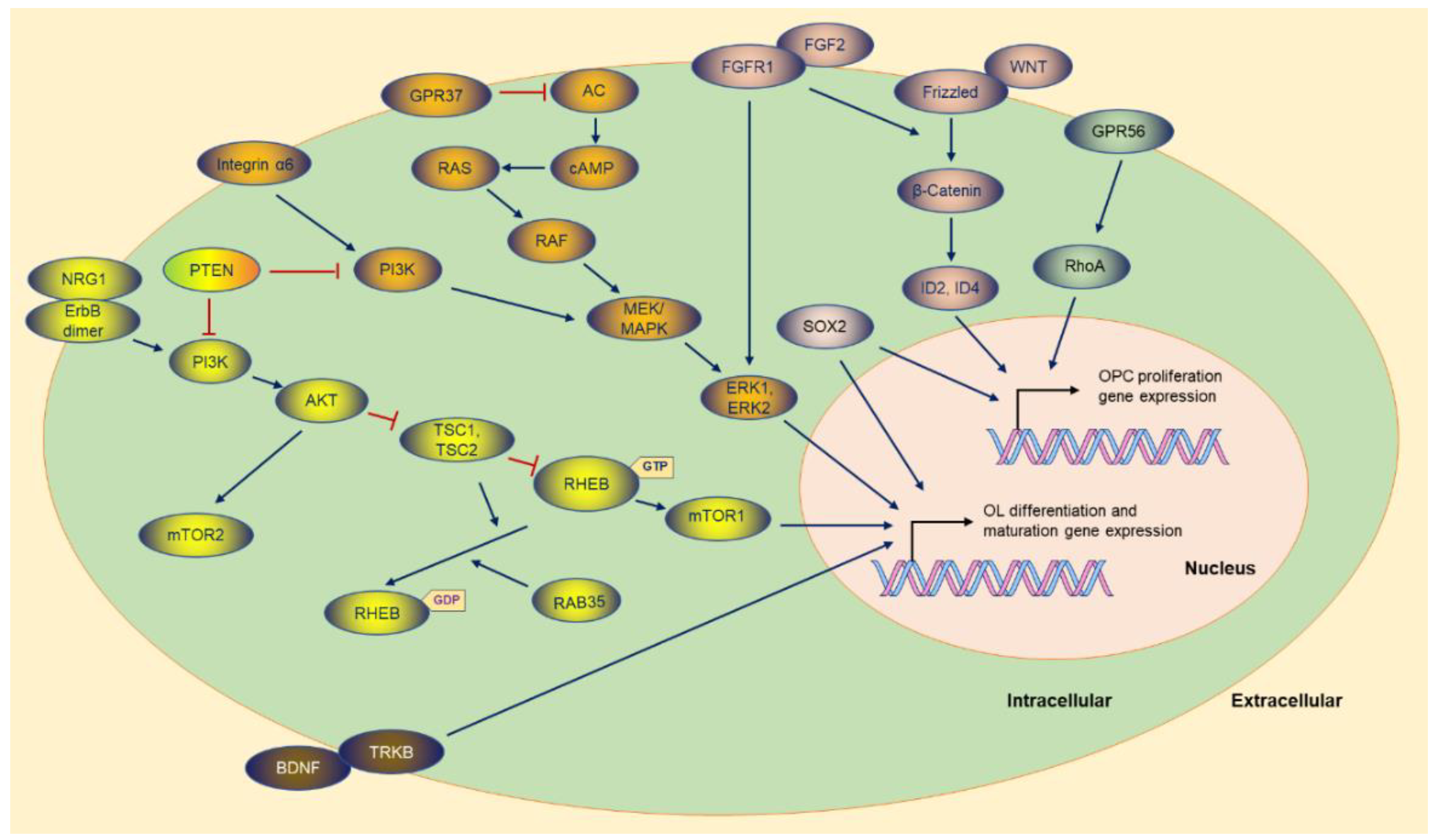 Cimb 44 00149 g003 Cimb 44 00149 g003