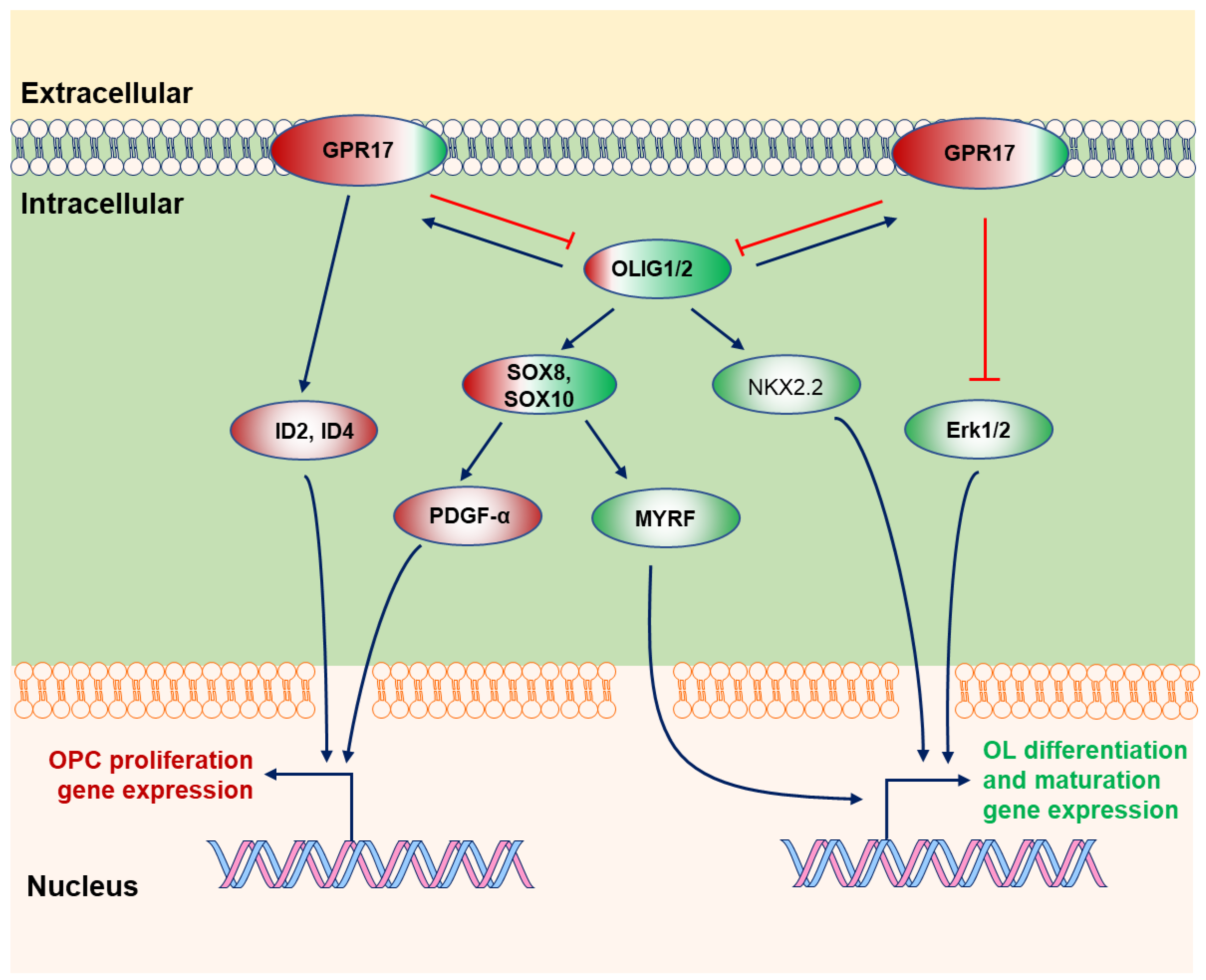 Cimb 44 00149 g004 Cimb 44 00149 g004