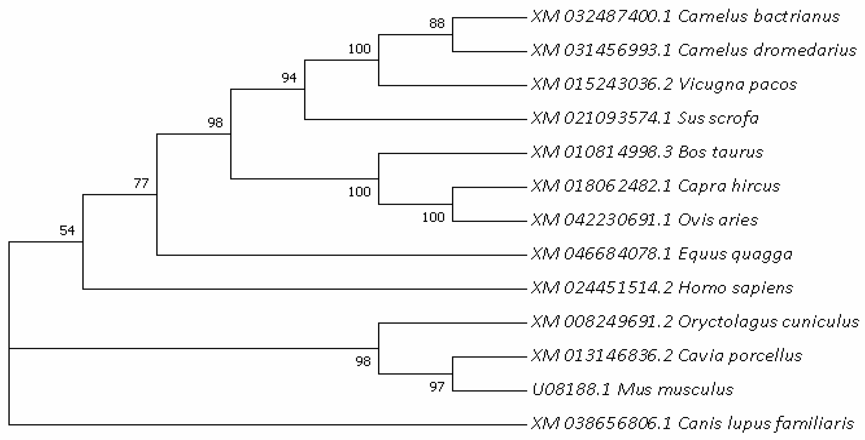 Cimb 44 00259 g004 Cimb 44 00259 g004